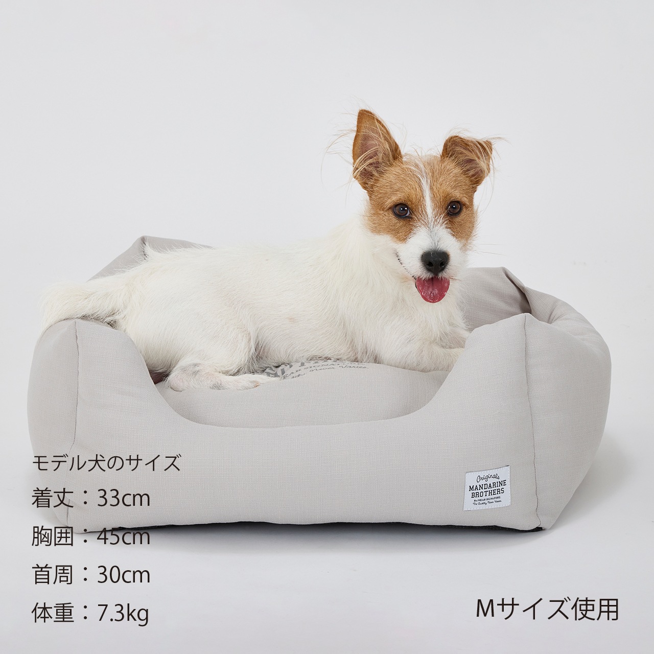 CUDDLER　2026年春夏新作