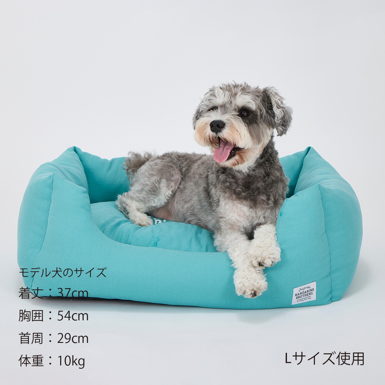 CUDDLER　2026年春夏新作