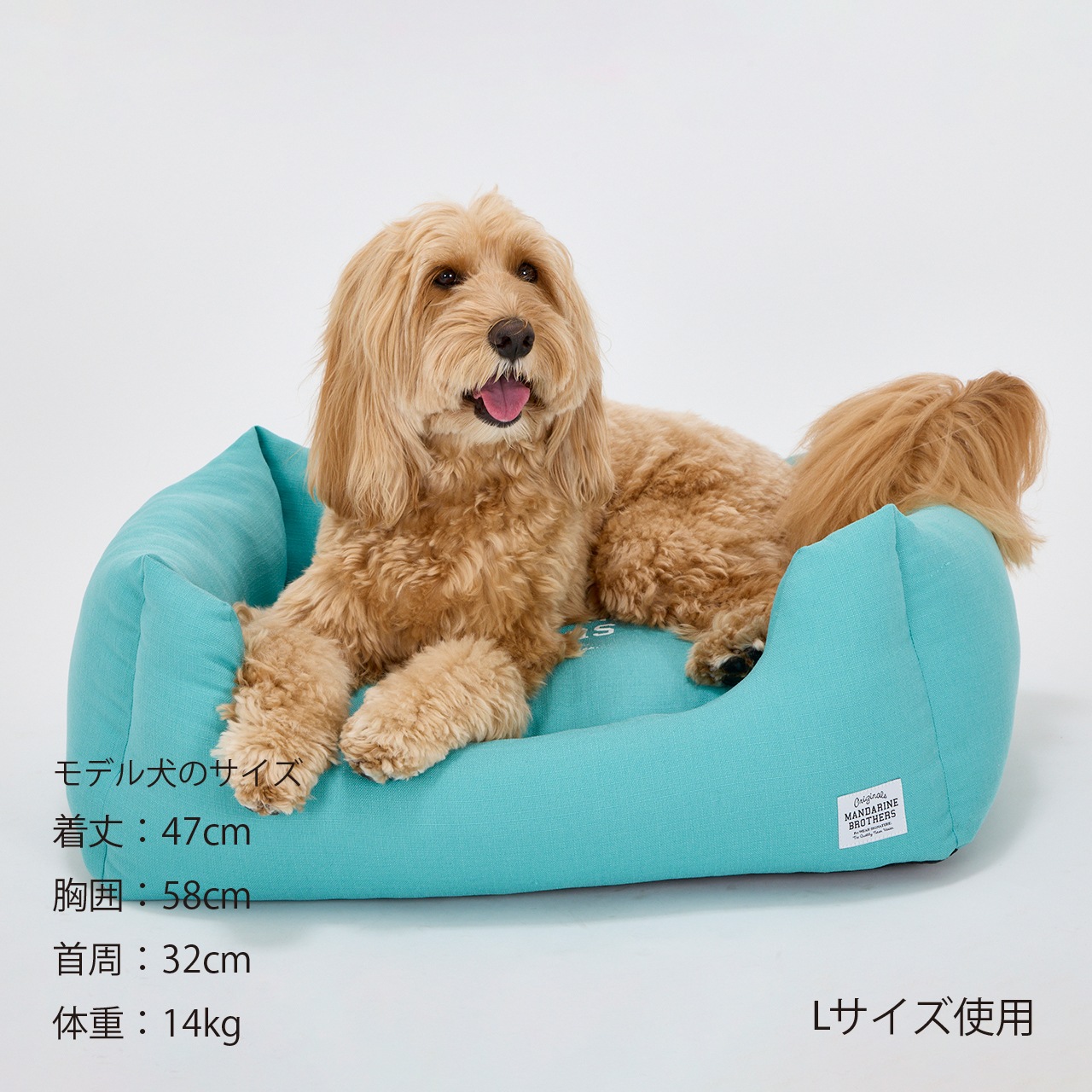 CUDDLER　2026年春夏新作