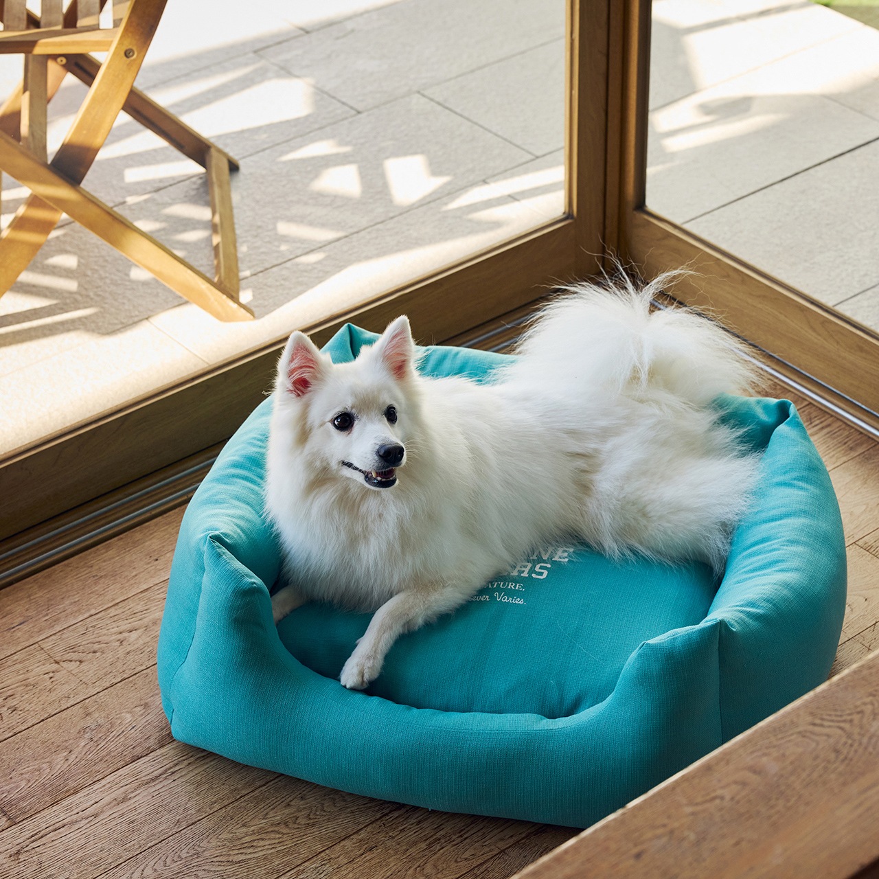 CUDDLER　2026年春夏新作