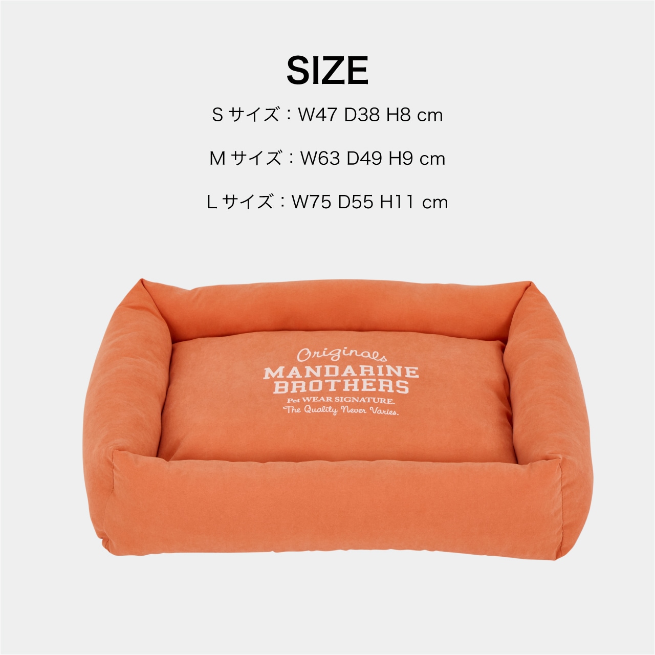 FLAT BED　2026年春夏新作