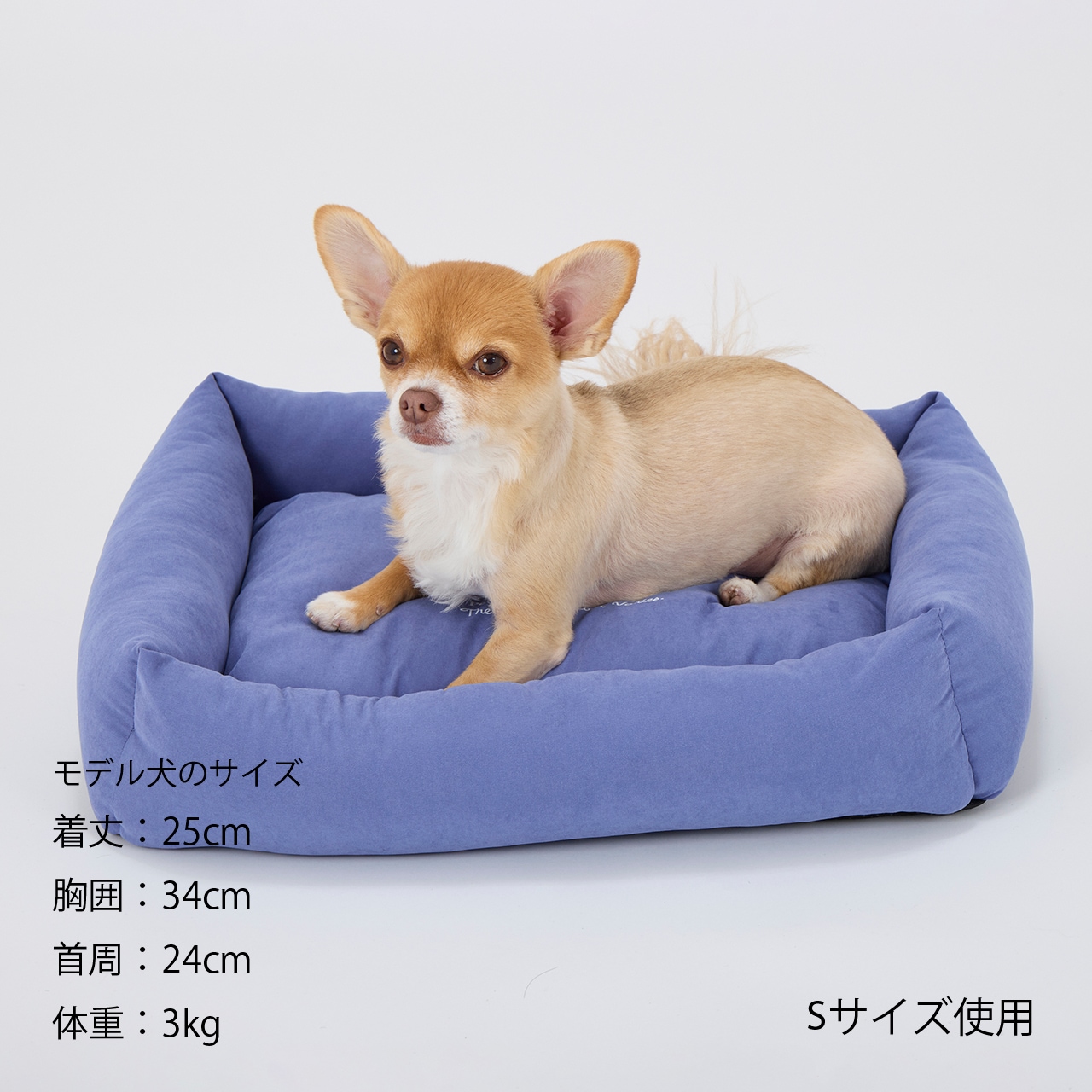 FLAT BED　2026年春夏新作