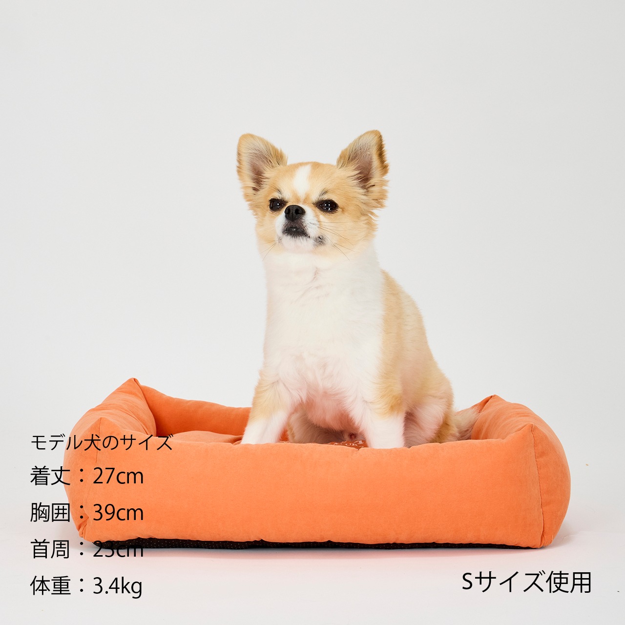 FLAT BED　2026年春夏新作