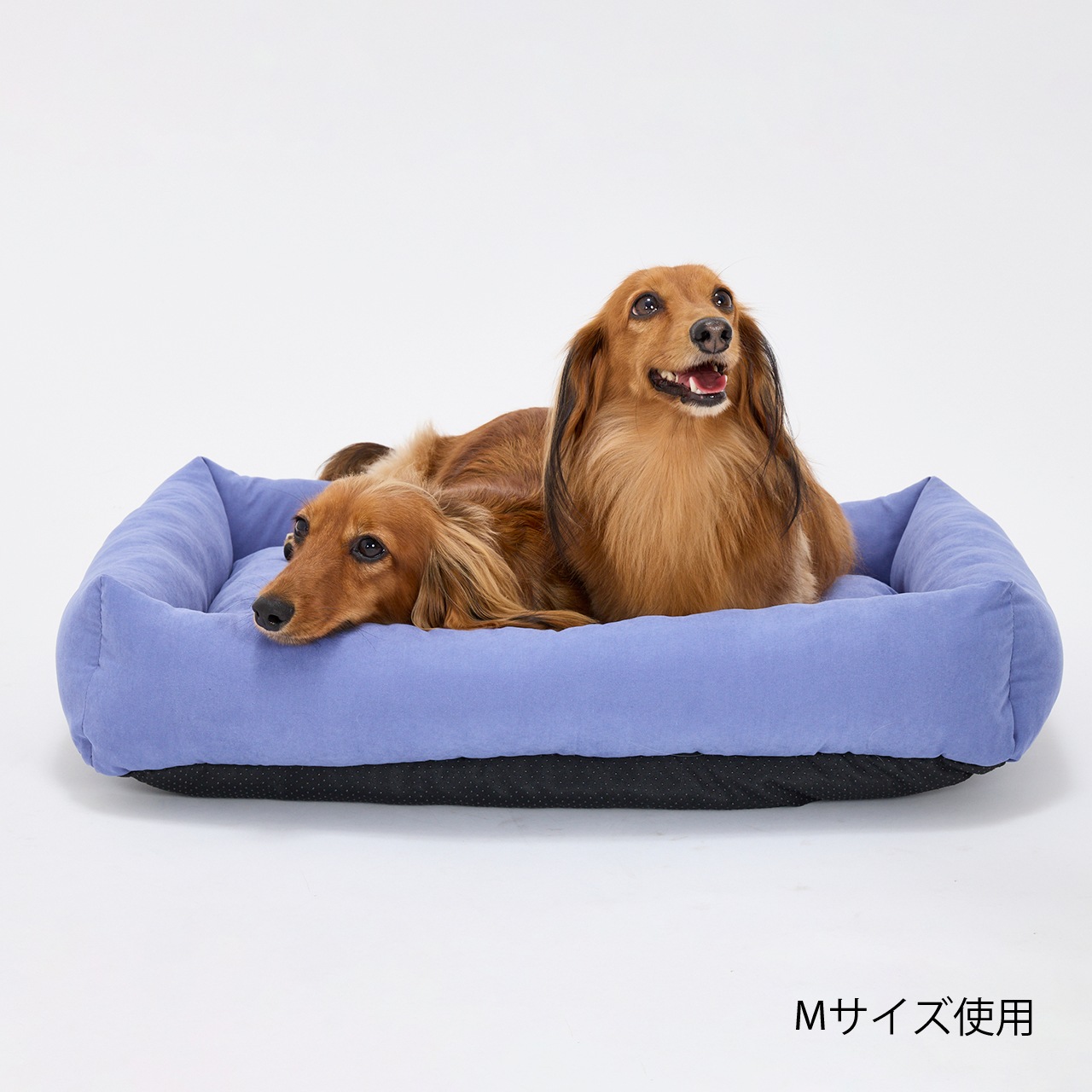 FLAT BED　2026年春夏新作