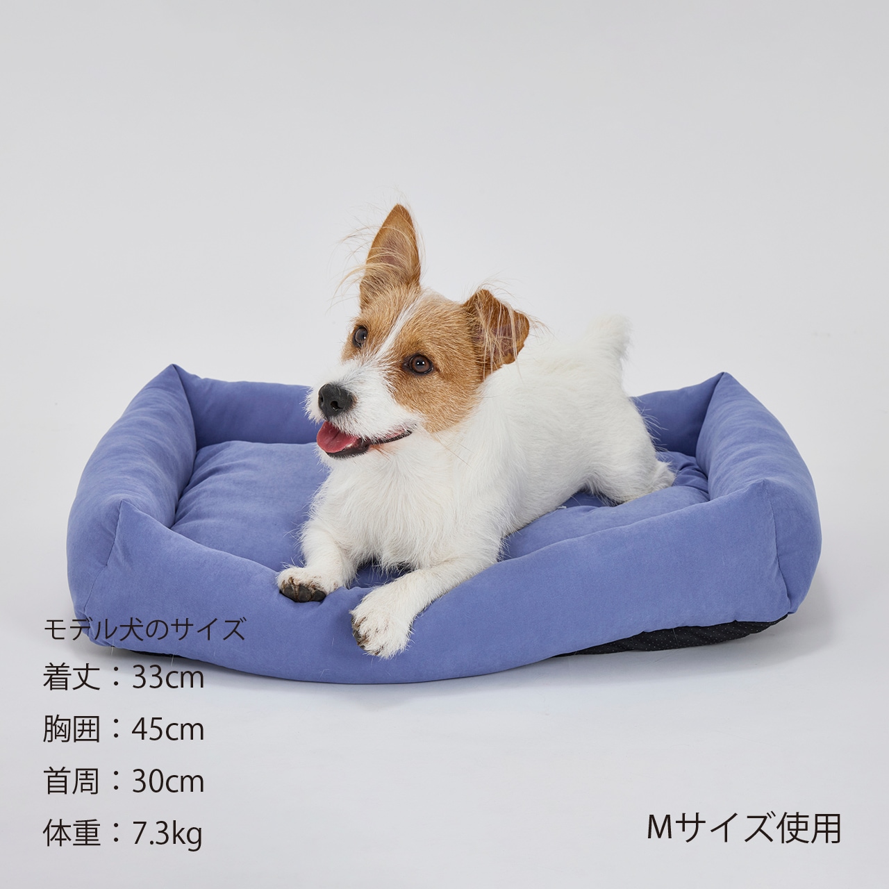 FLAT BED　2026年春夏新作