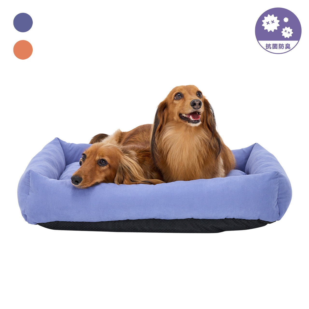 FLAT BED　2026年春夏新作