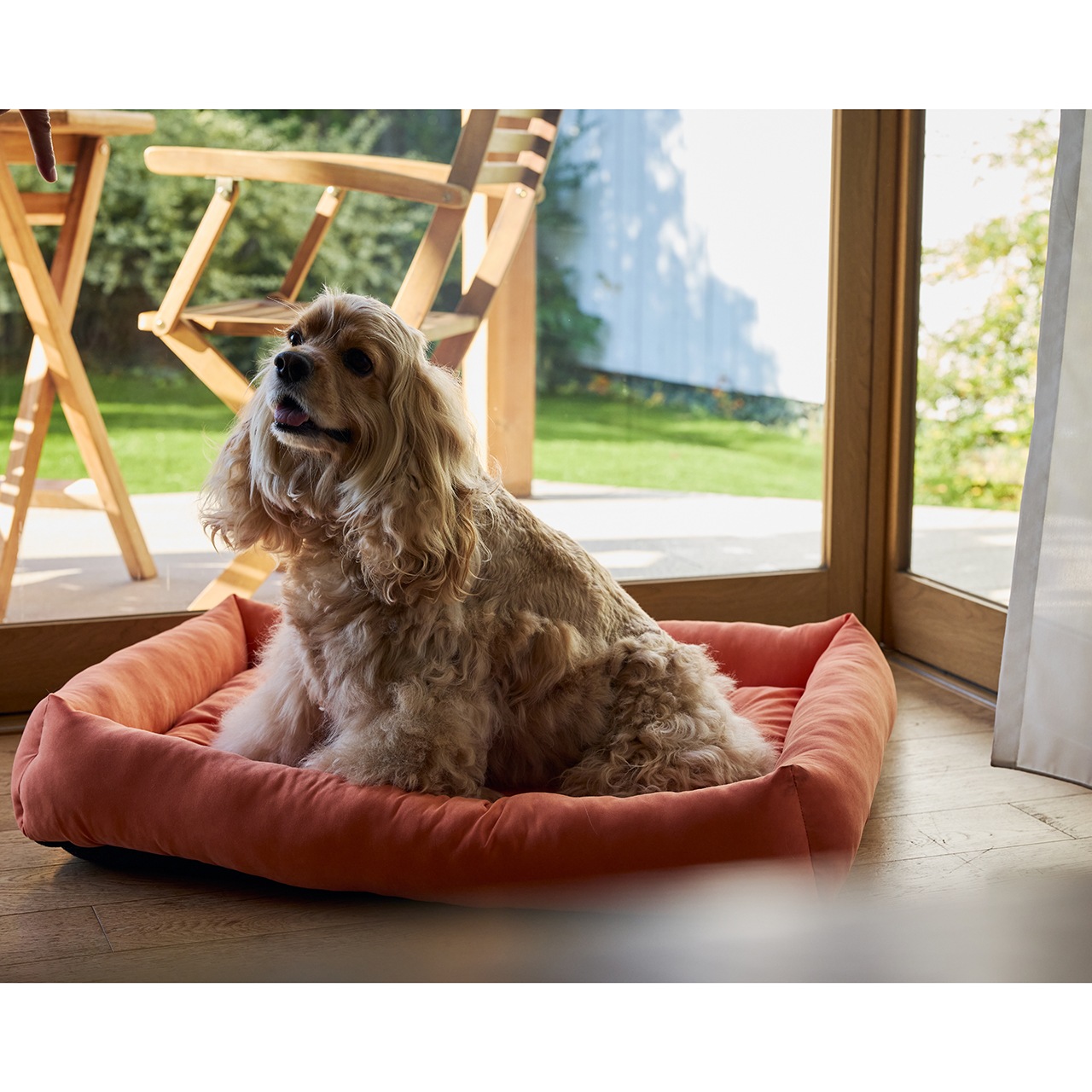 FLAT BED　2026年春夏新作