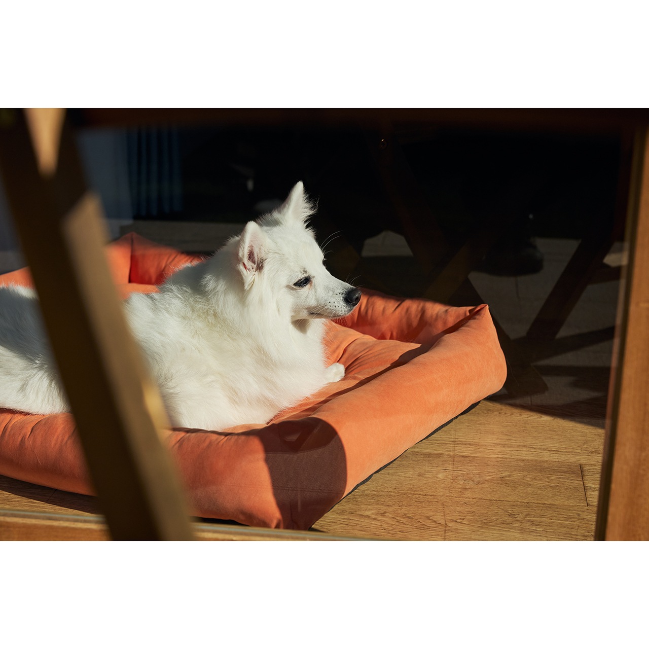 FLAT BED　2026年春夏新作