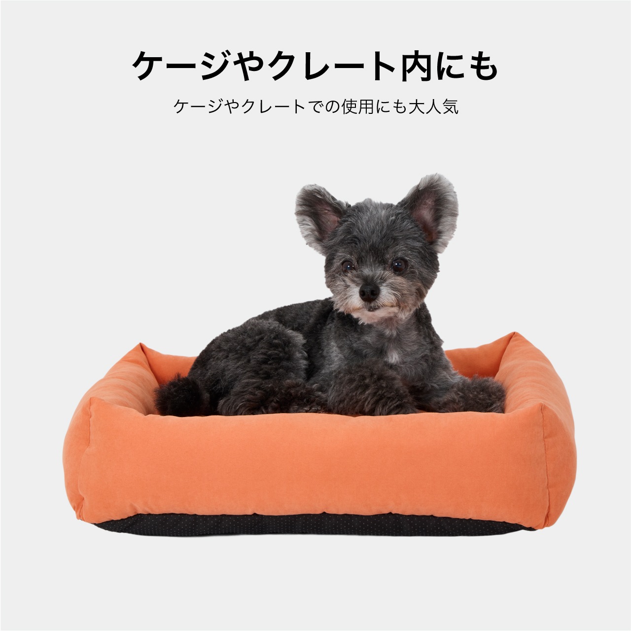 FLAT BED　2026年春夏新作