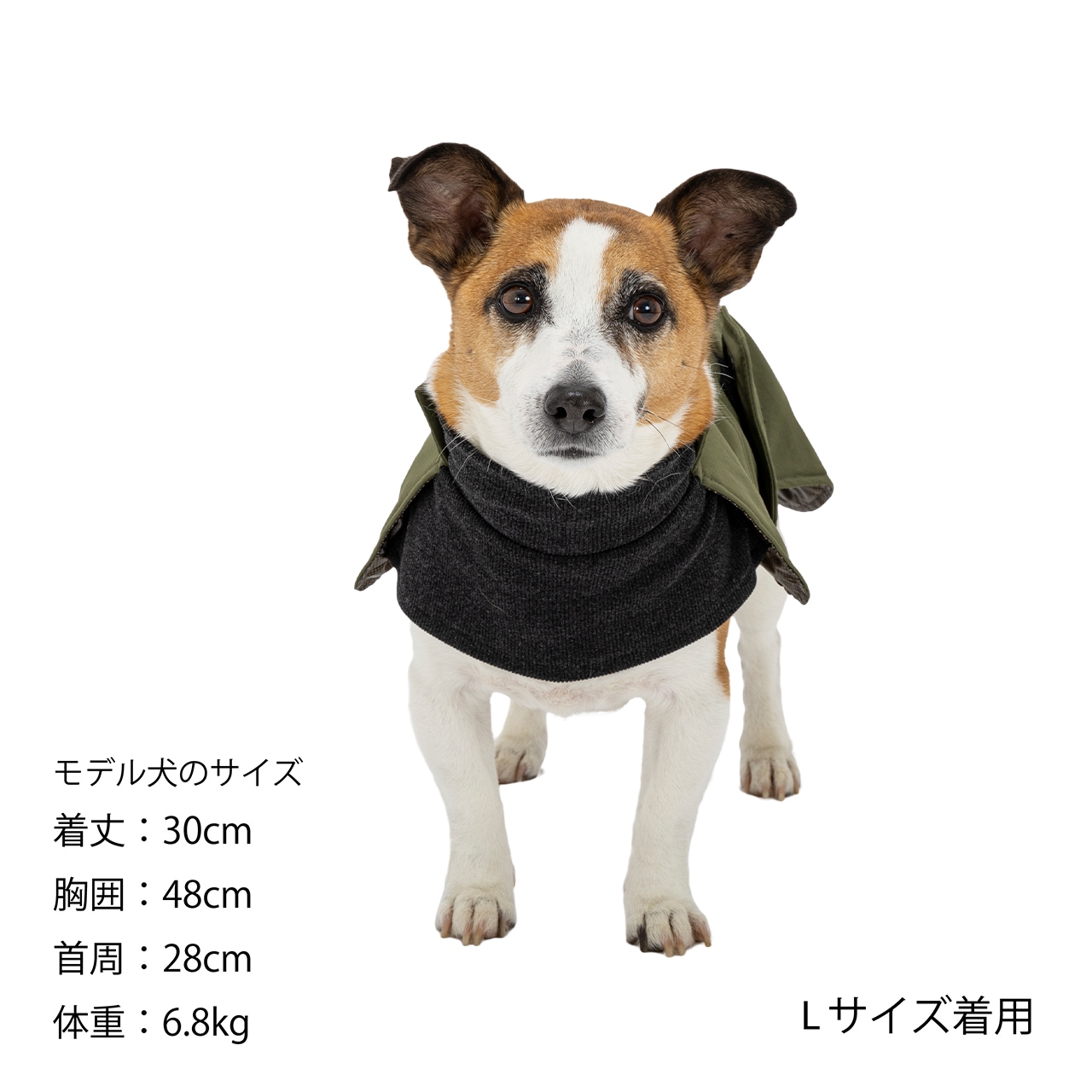 RAP JACKET