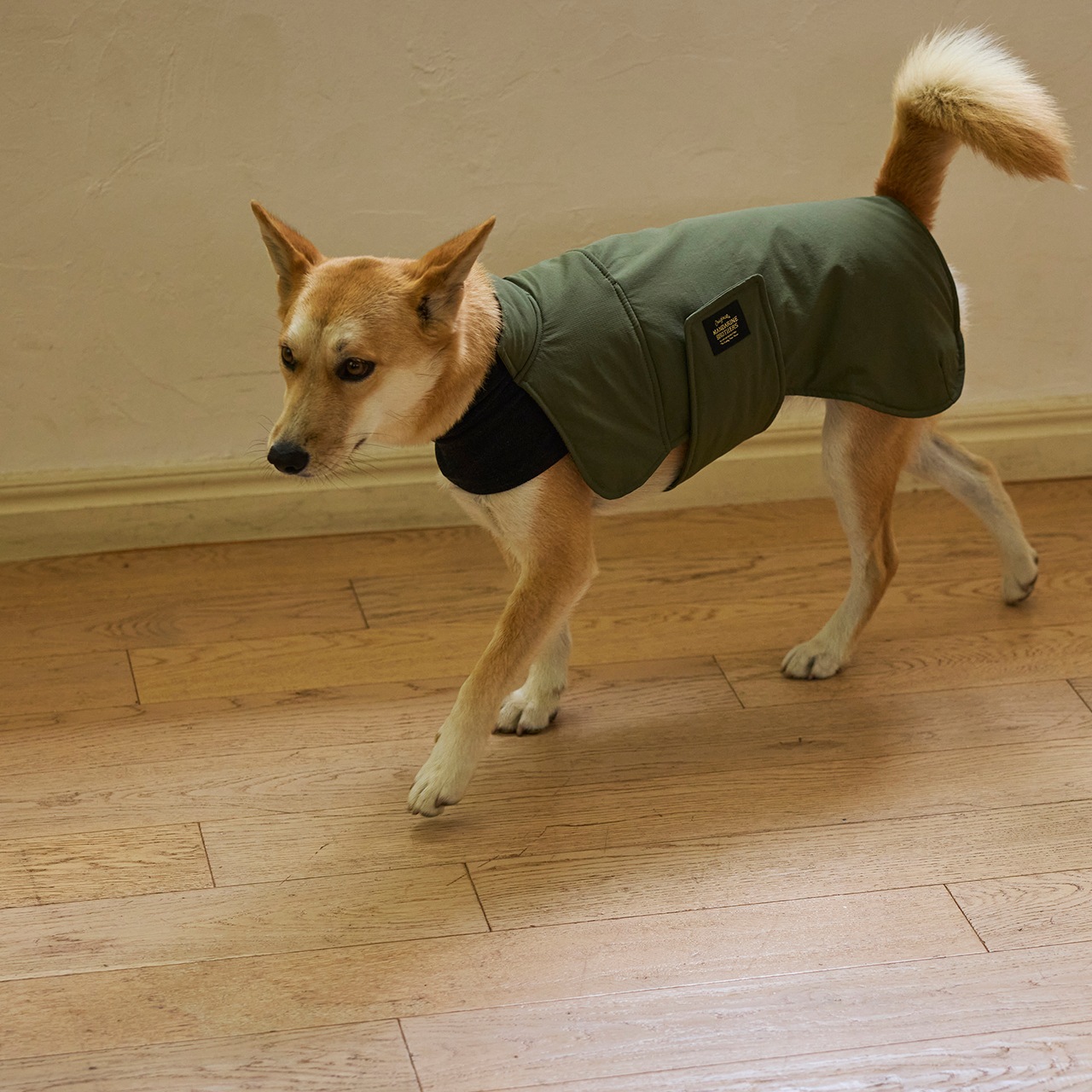 RAP JACKET