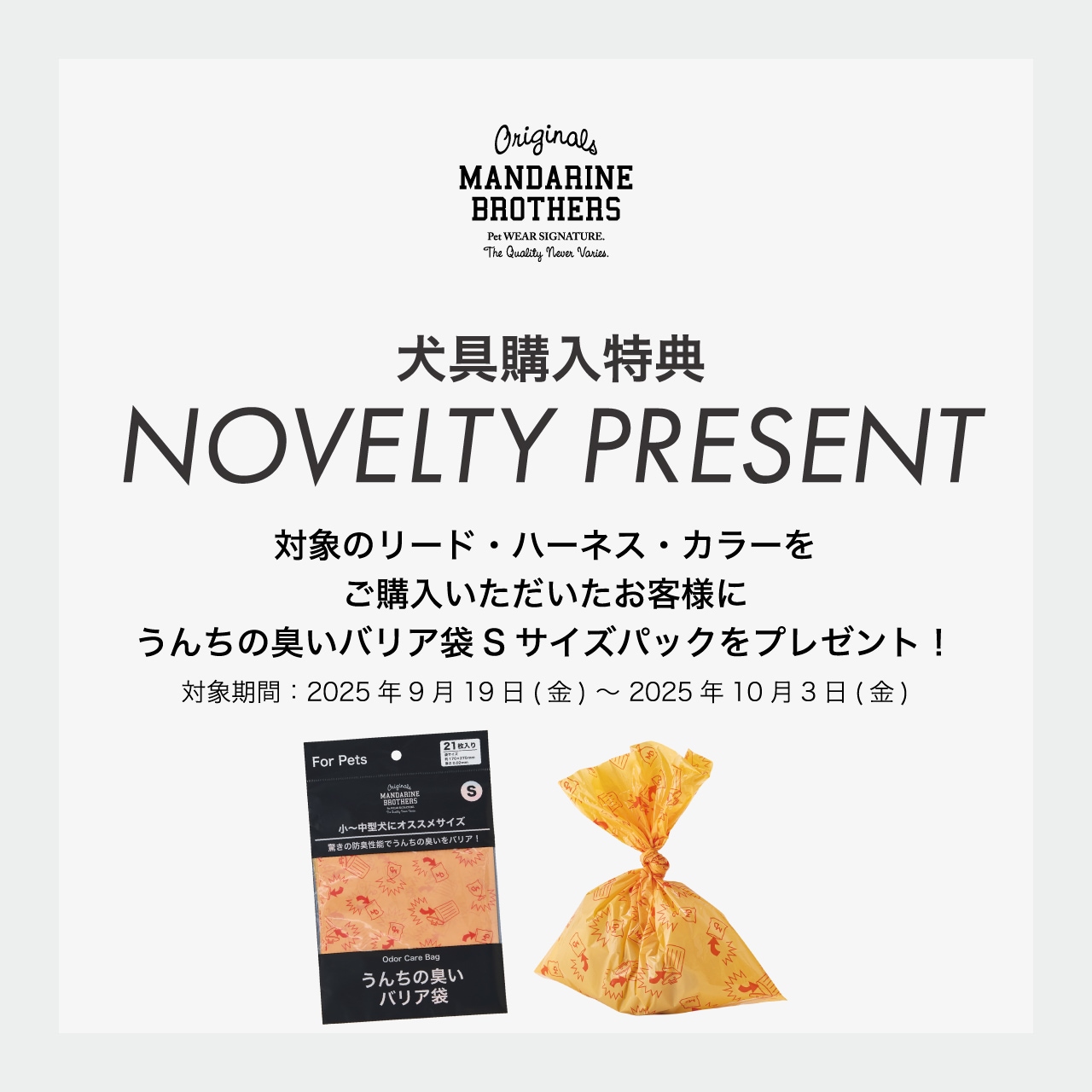 NIGHTSCAPE LED COLLAR M-Lサイズ | ACCESSARY | 犬服 MANDARINE