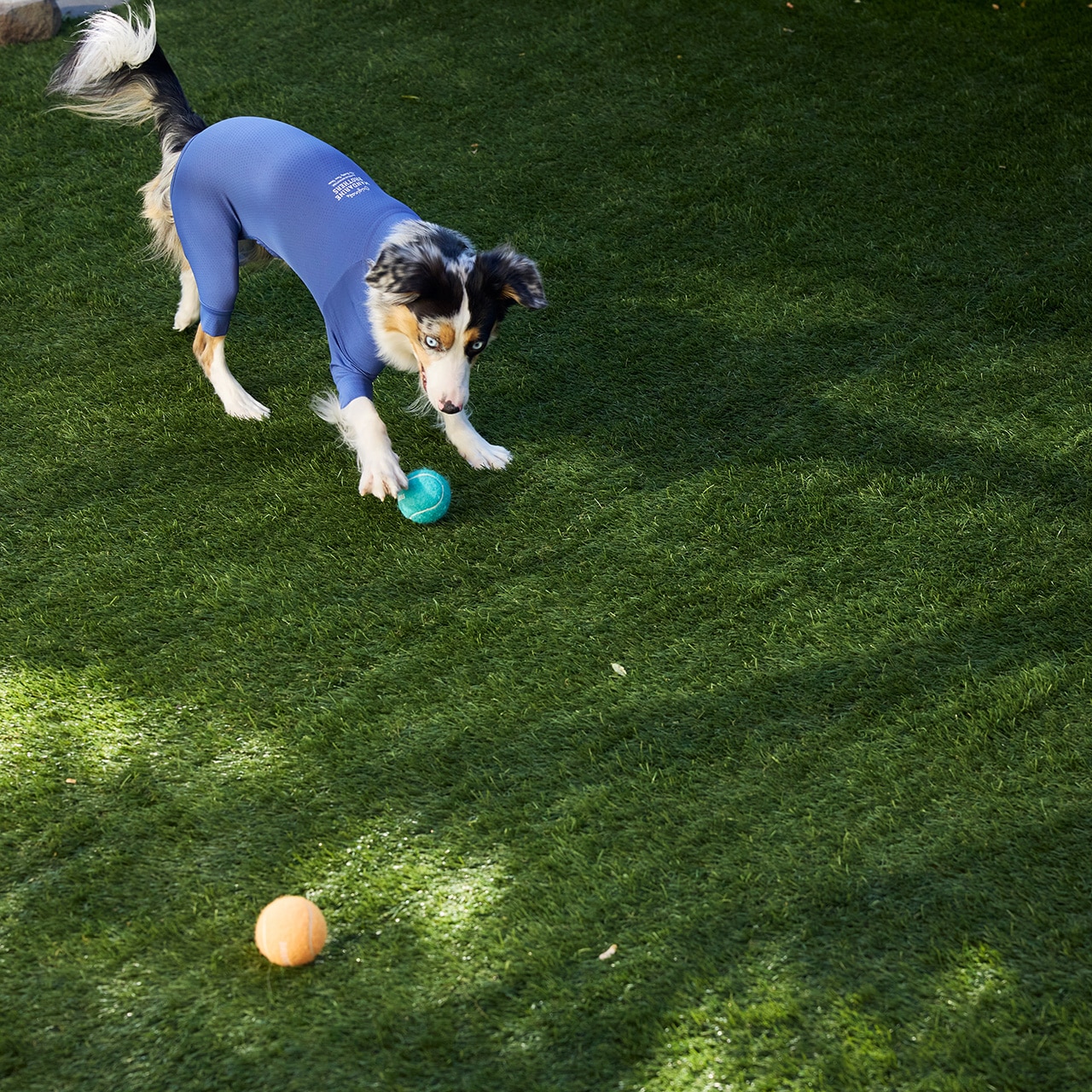 MB TENNIS BALLS