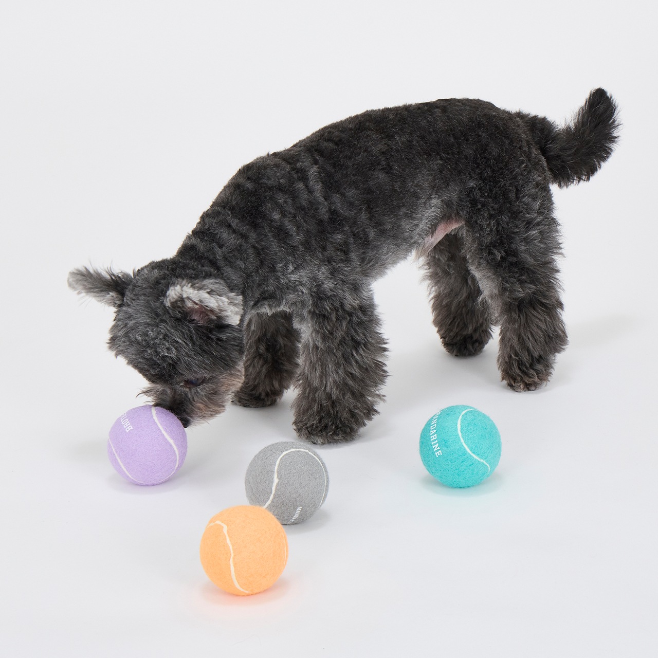 MB TENNIS BALLS
