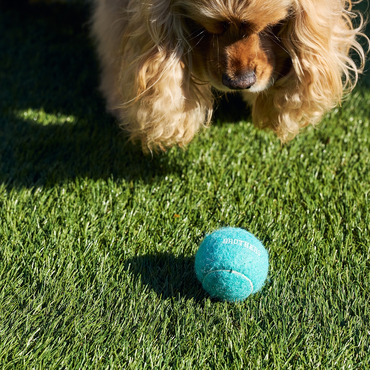 MB TENNIS BALLS