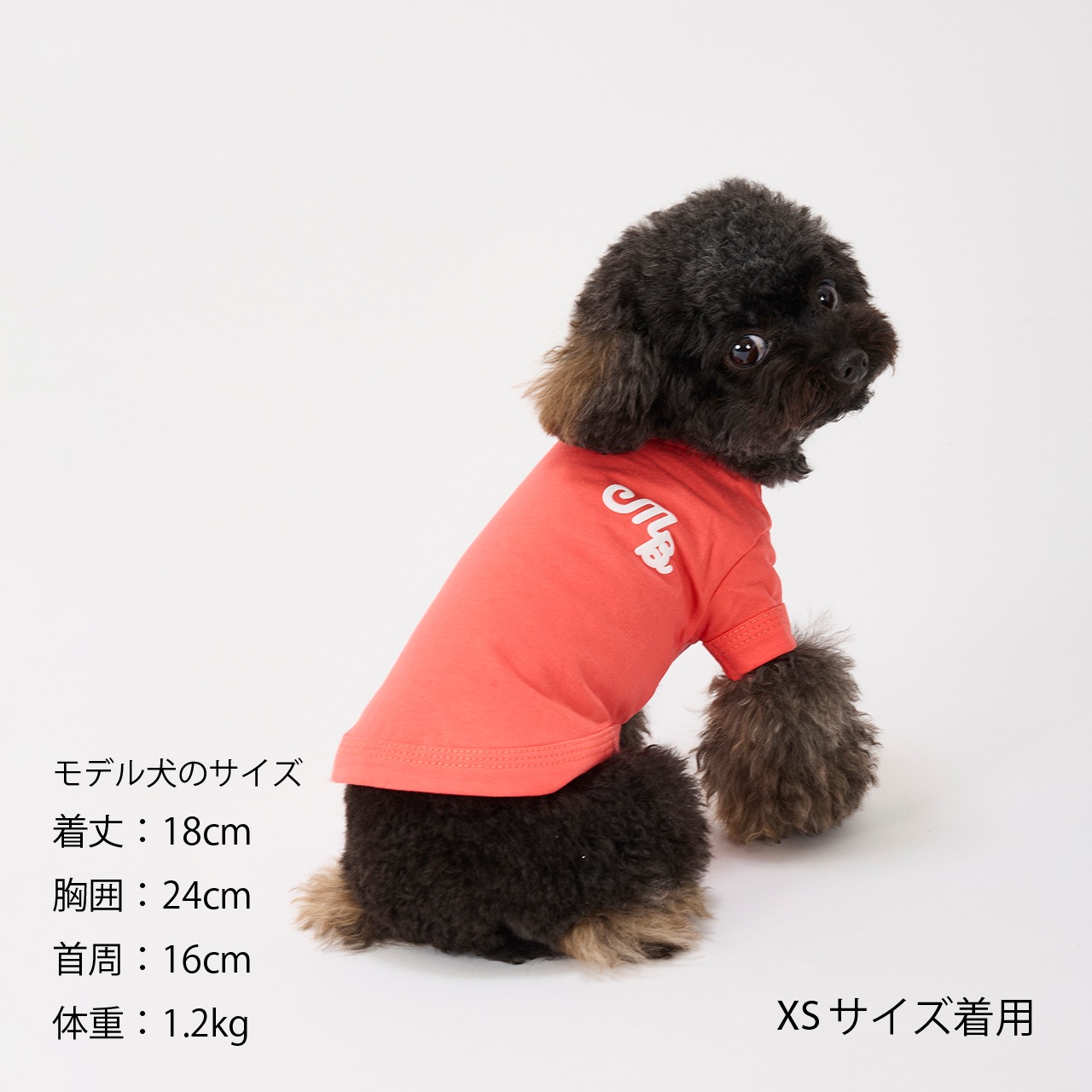 PUFFY LOGO COOL TEE