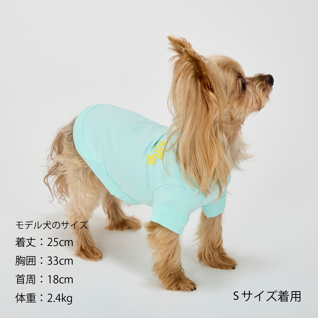 PUFFY LOGO COOL TEE