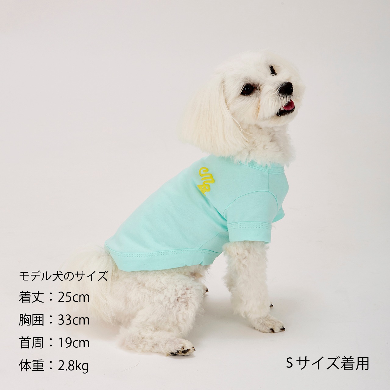 PUFFY LOGO COOL TEE