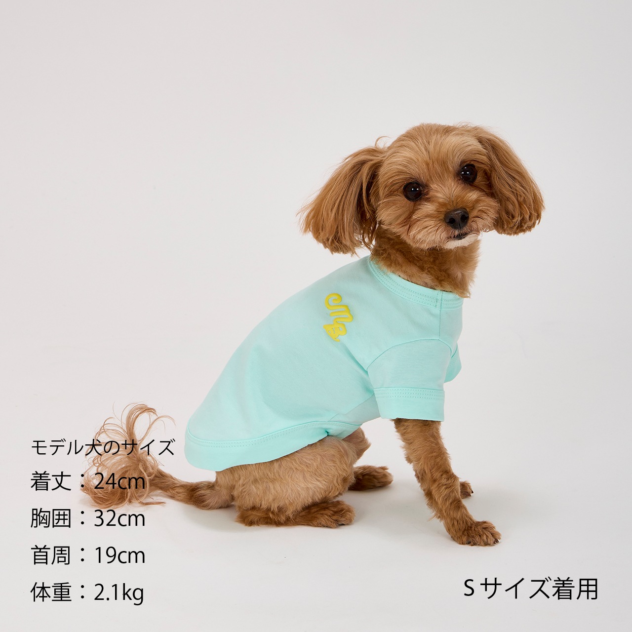 PUFFY LOGO COOL TEE