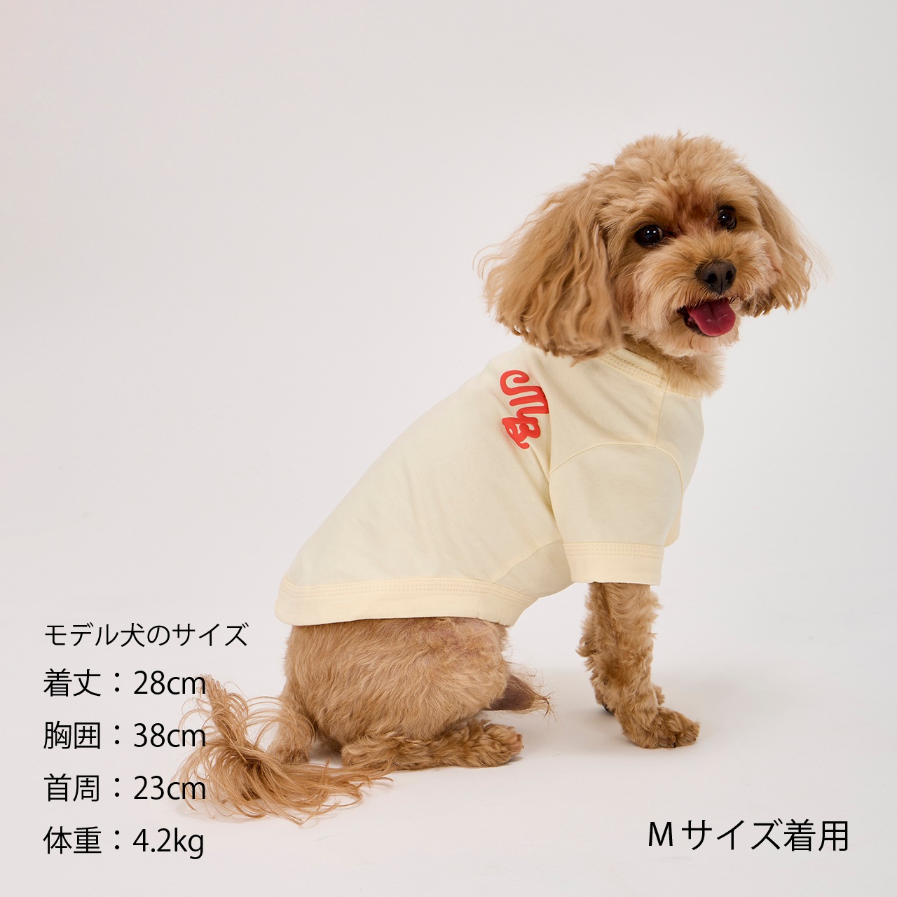 PUFFY LOGO COOL TEE