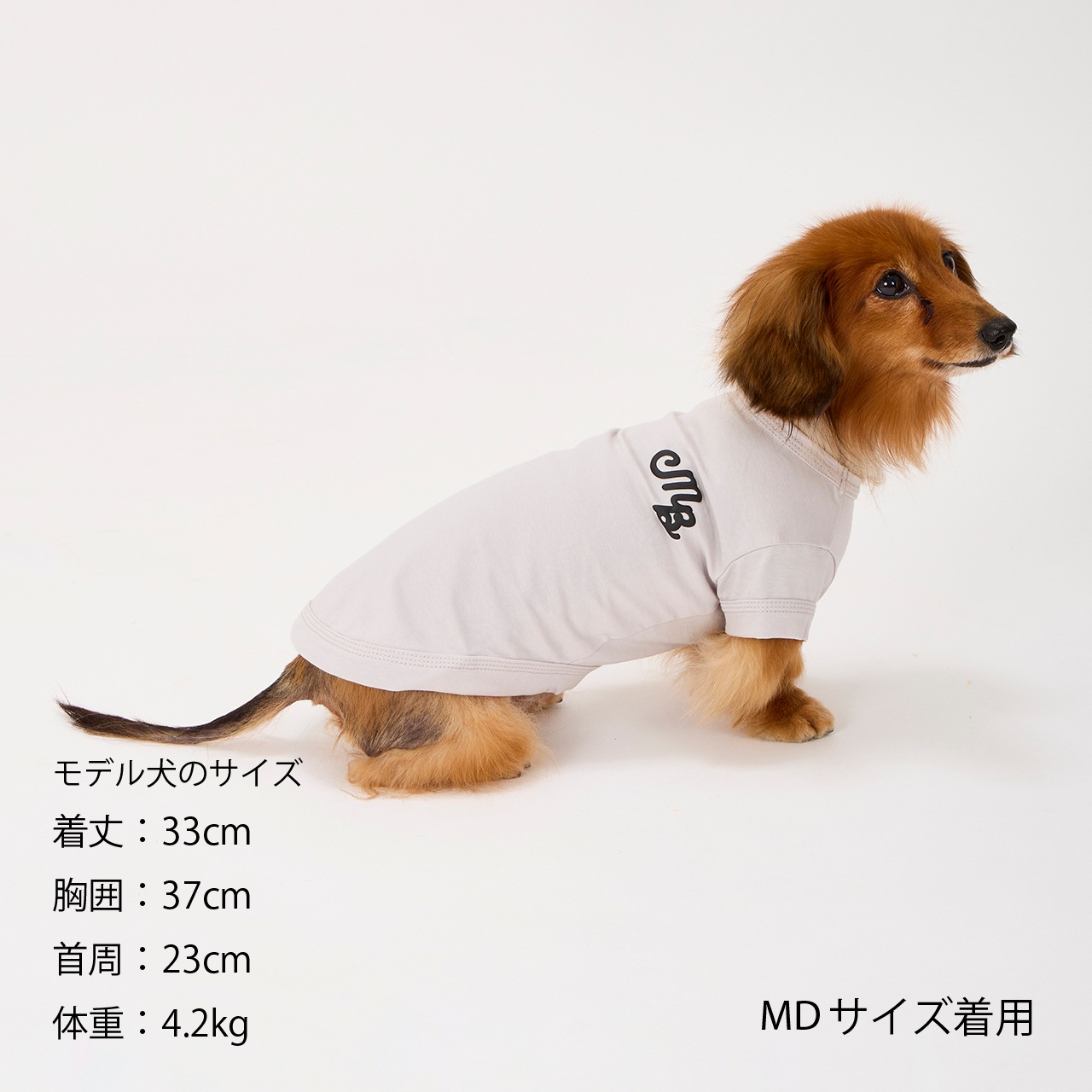 PUFFY LOGO COOL TEE