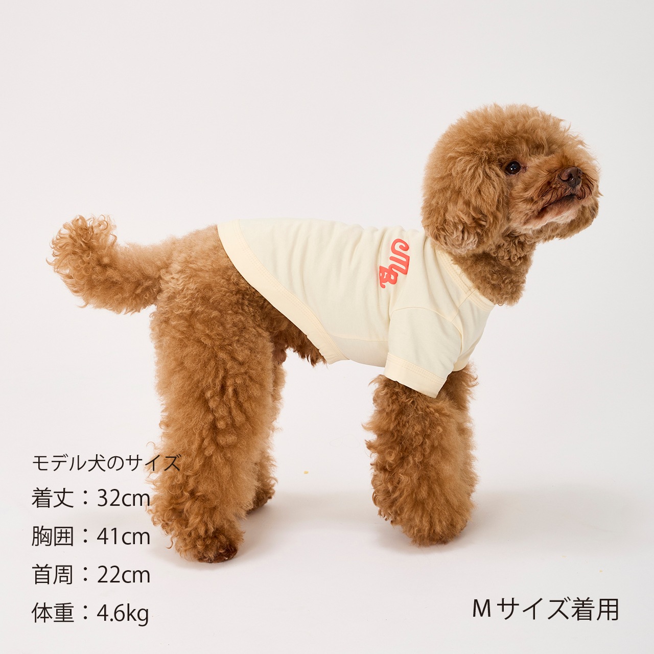 PUFFY LOGO COOL TEE