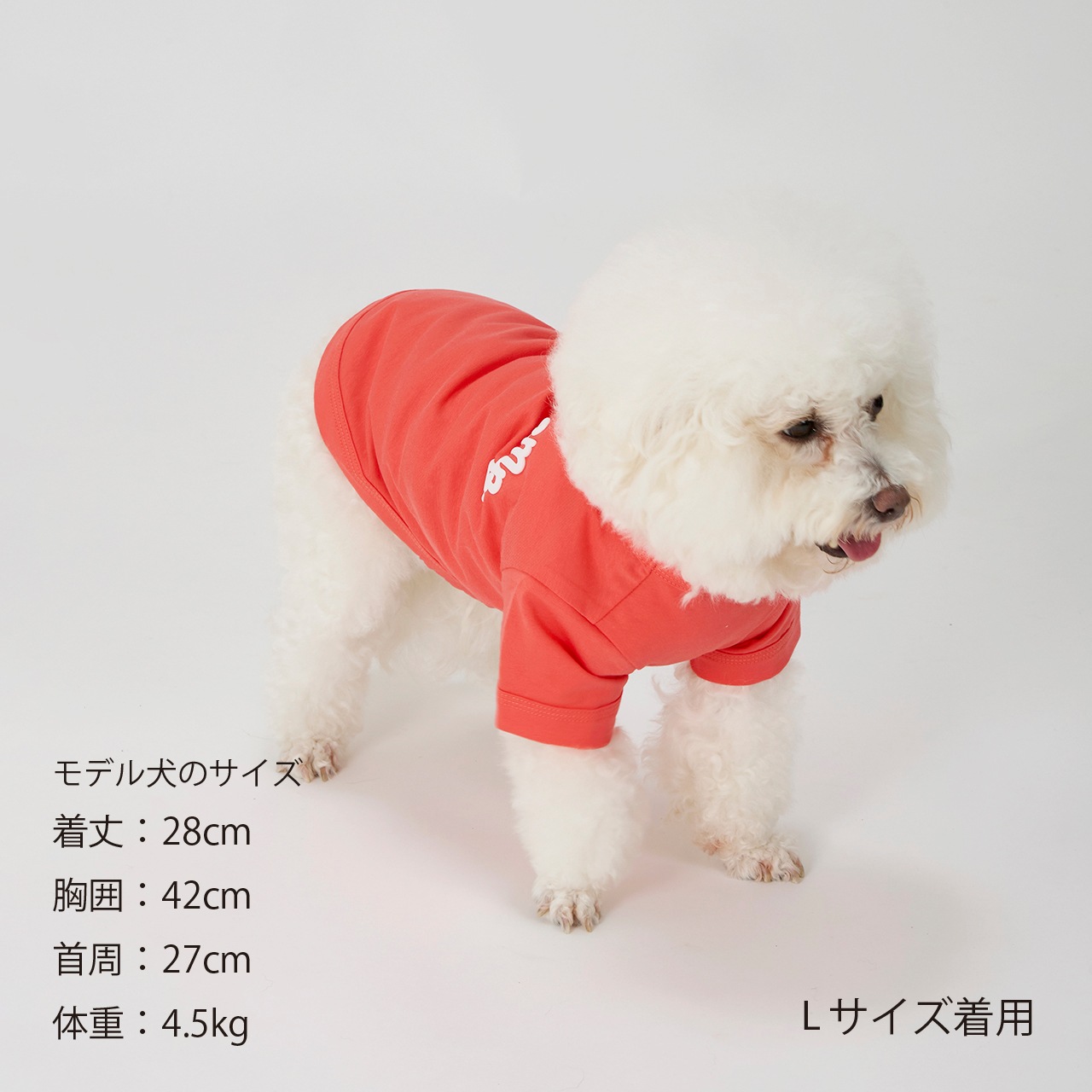 PUFFY LOGO COOL TEE
