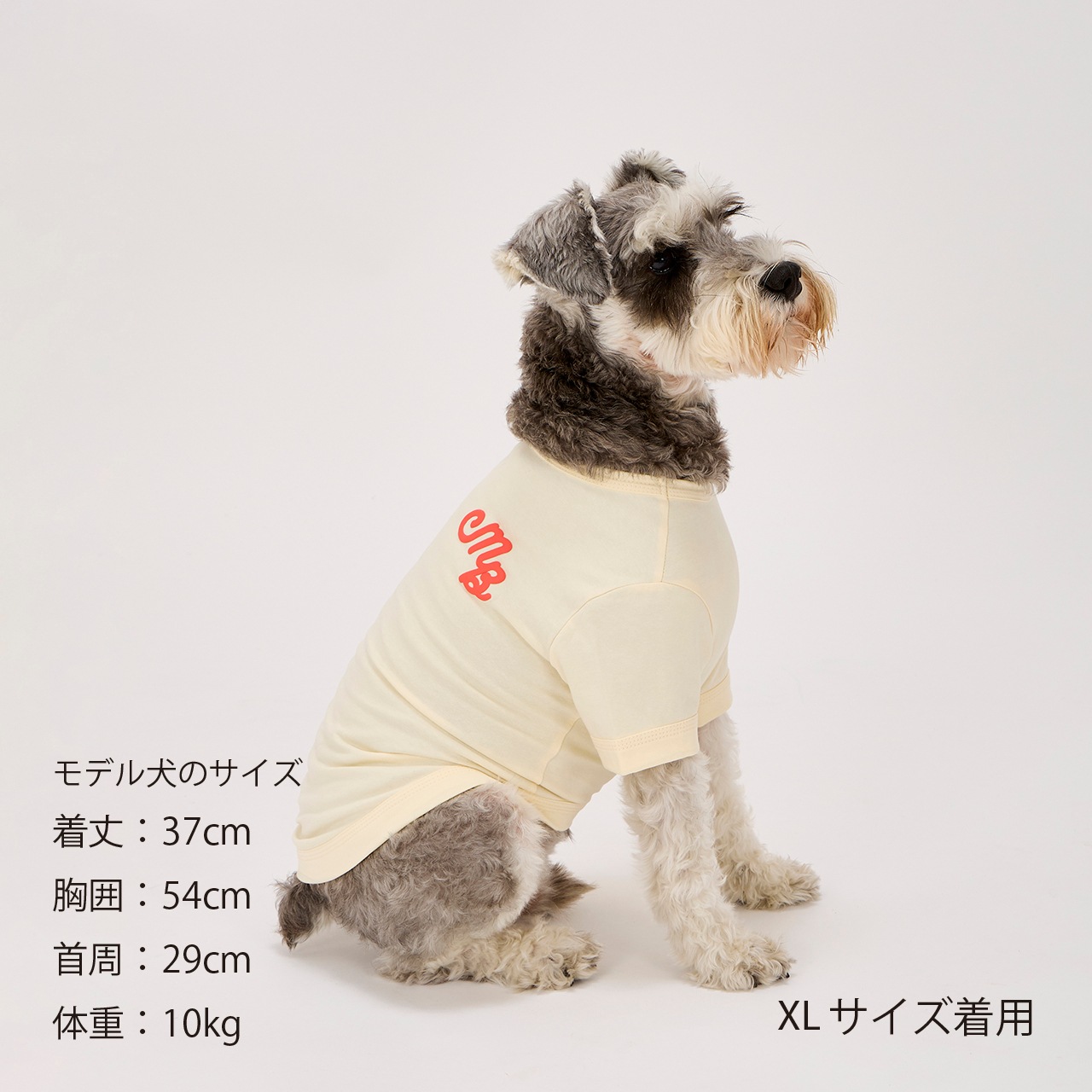 PUFFY LOGO COOL TEE