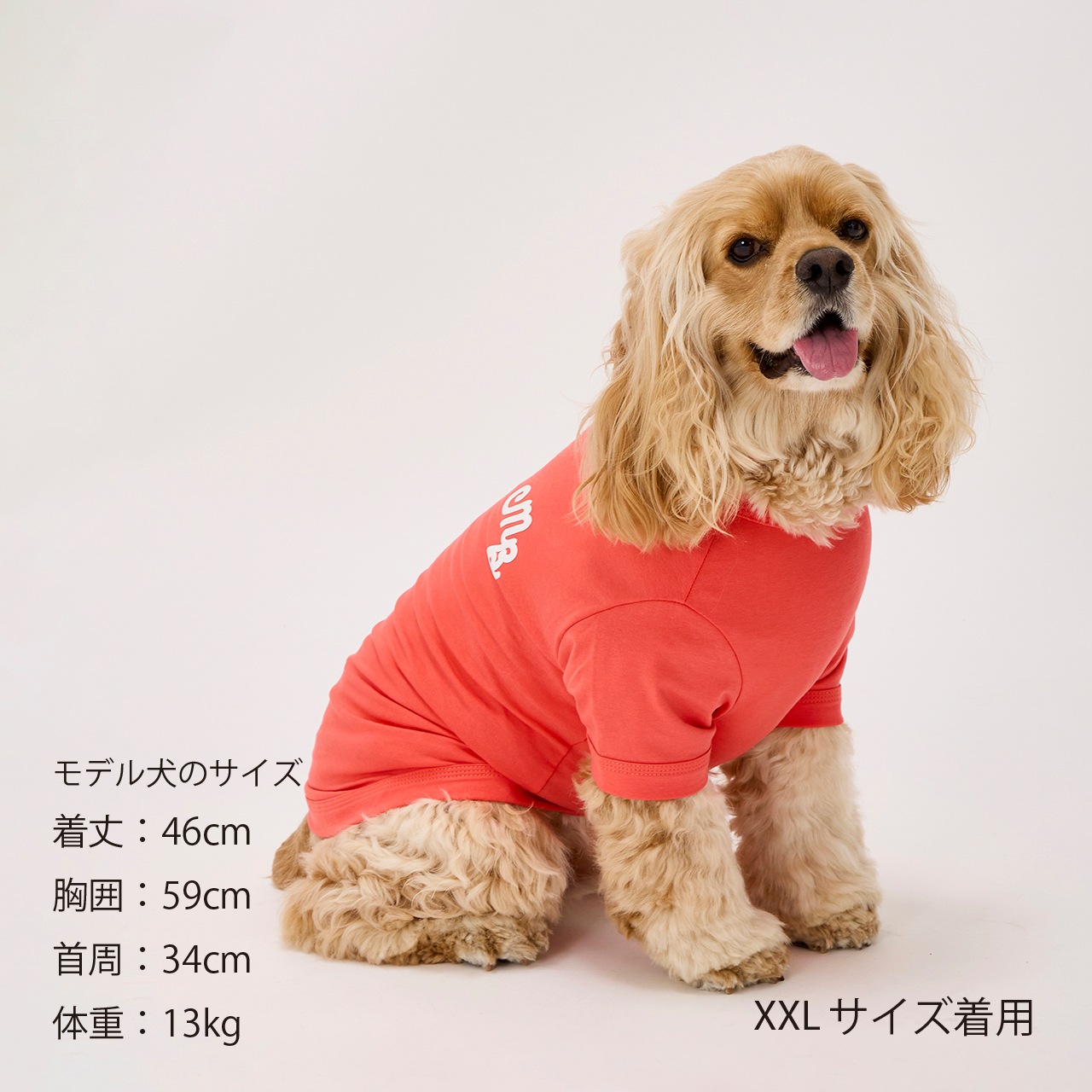 PUFFY LOGO COOL TEE