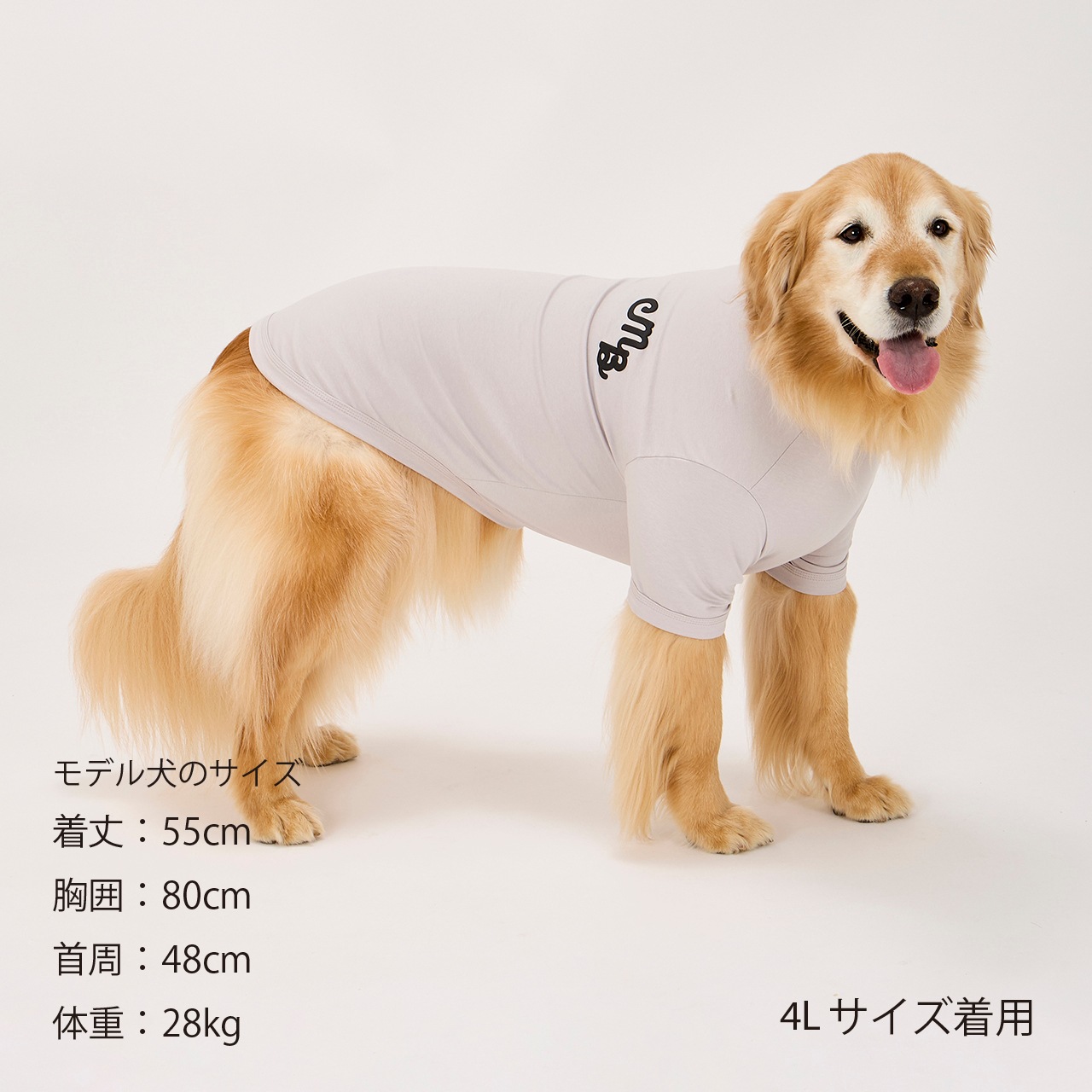 PUFFY LOGO COOL TEE