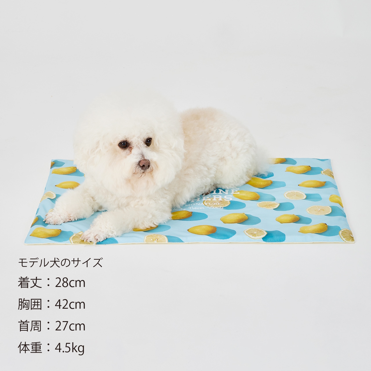 COOL CAFE MAT | ACCESSARY | 犬服 MANDARINE BROTHERS