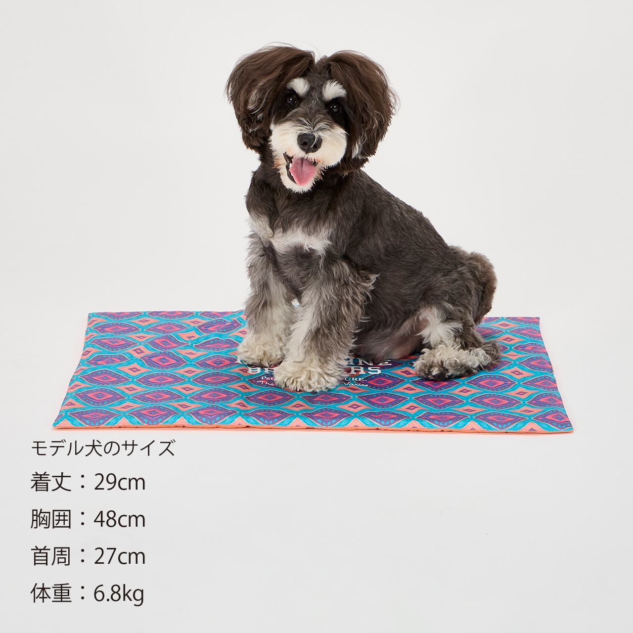 犬服　カフェマット　＊Lemon＊　ハンドメイド 犬服 カフェマット ＊Lemon＊様専用 ハンドメイド