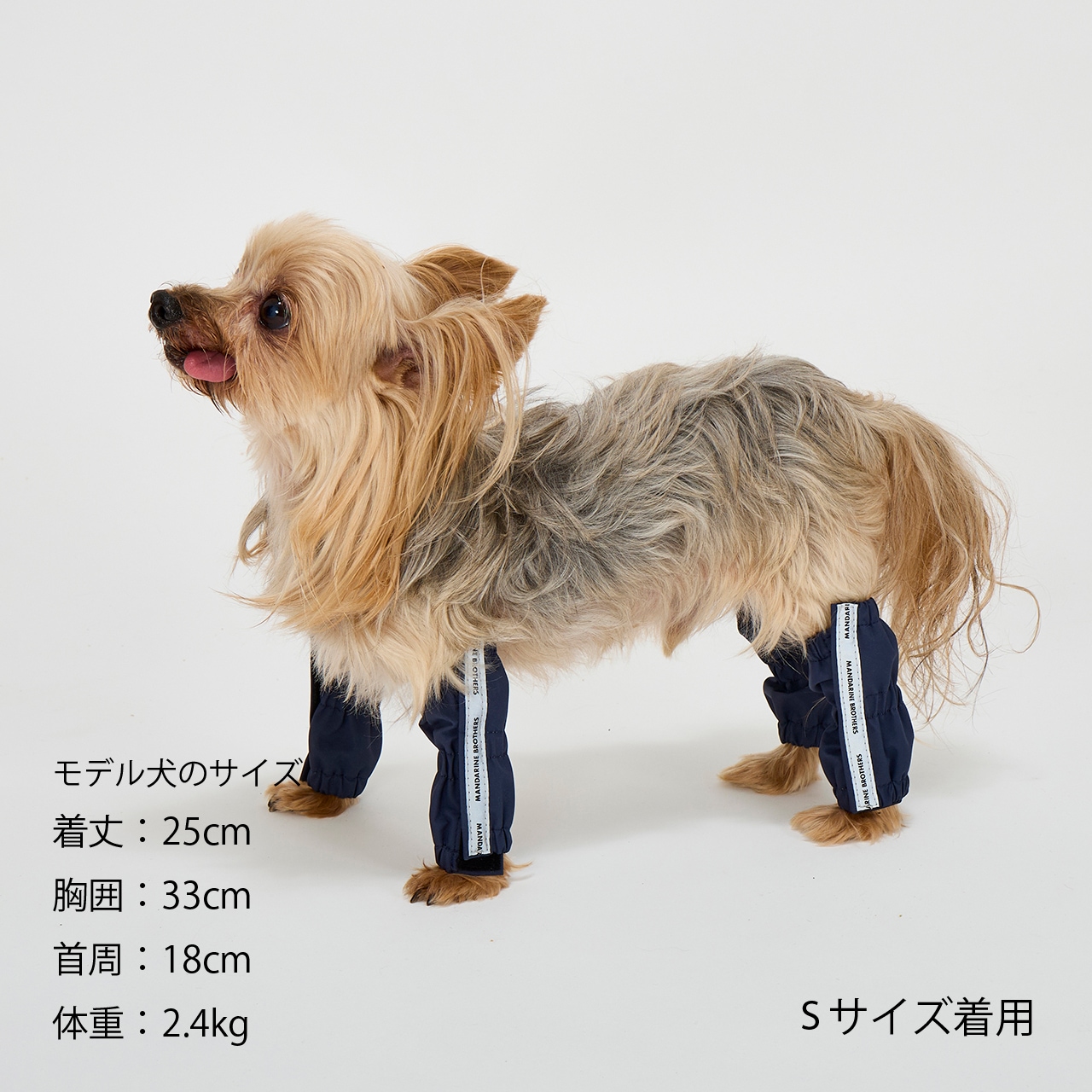 ベルガモットマンダリン　１本 REVERSIBLE 3WAY TOTE | ACCESSARY | 犬服 MANDARINE BROTHERS