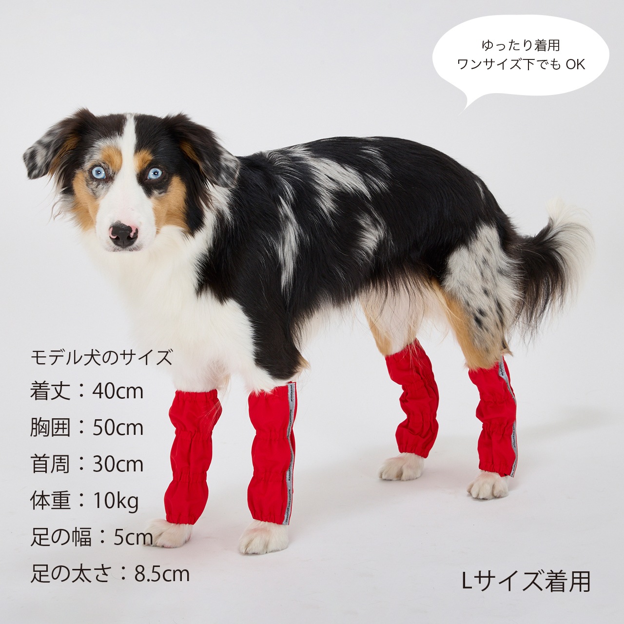 RAIN LEG COVER
