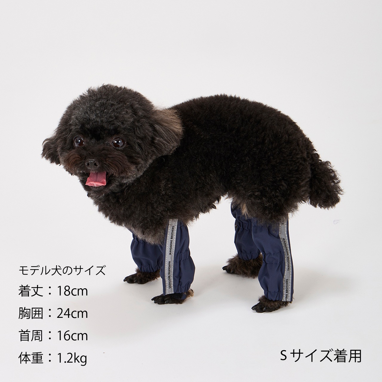 RAIN LEG COVER | ACCESSARY | 犬服 MANDARINE BROTHERS マンダリン