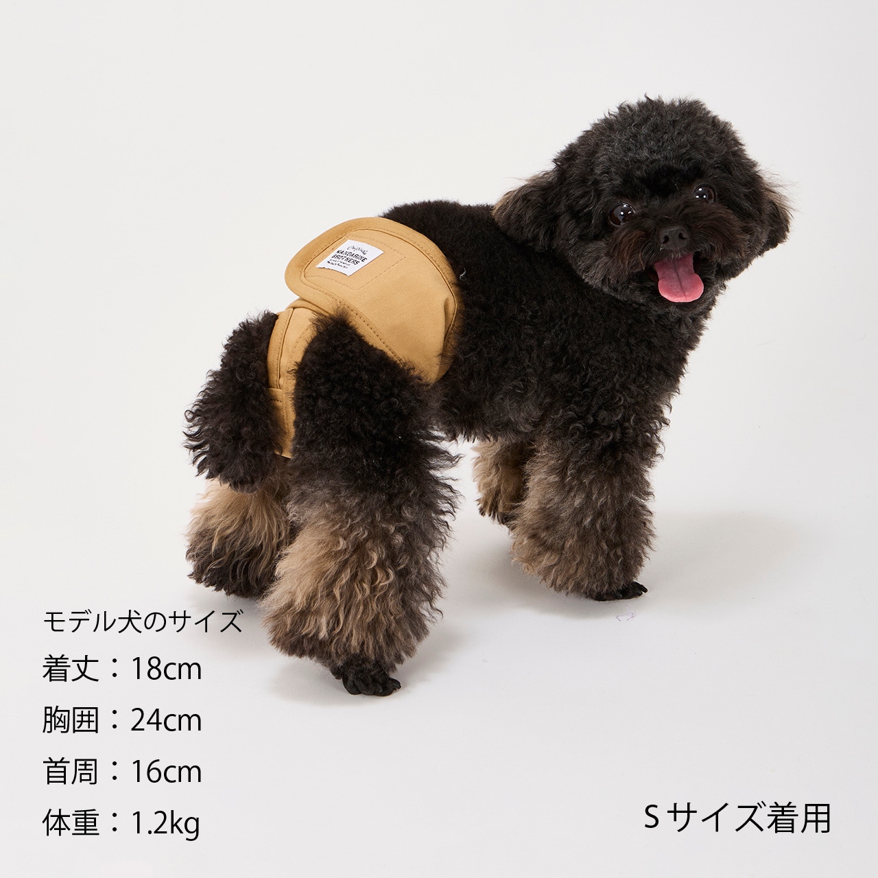 MANNER PANTS　2025春夏新作