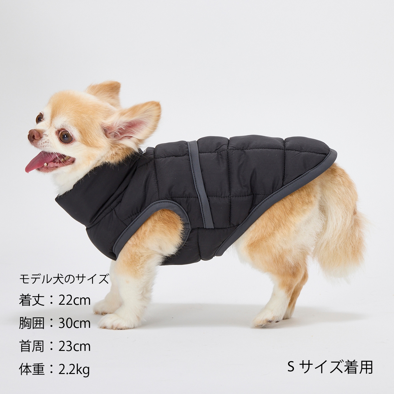 SUPER LIGHT PUFF VEST
