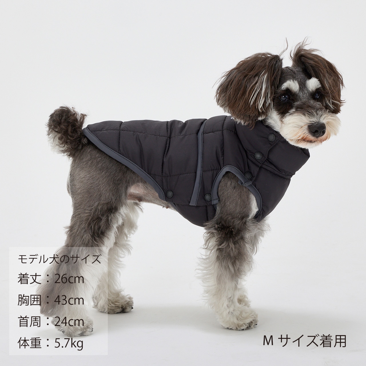 SUPER LIGHT PUFF VEST