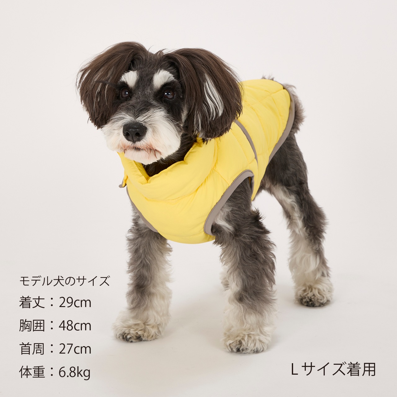 SUPER LIGHT PUFF VEST