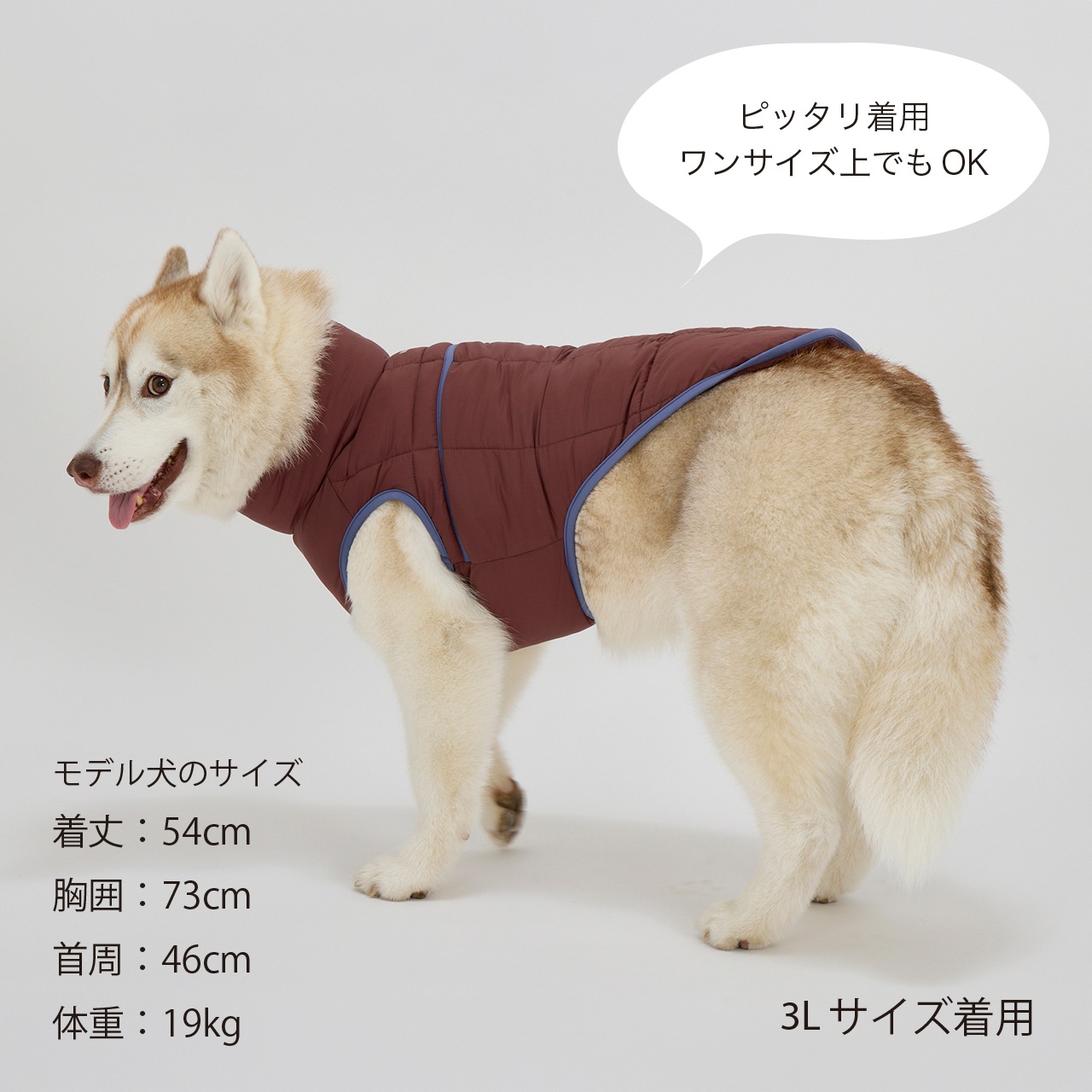 SUPER LIGHT PUFF VEST