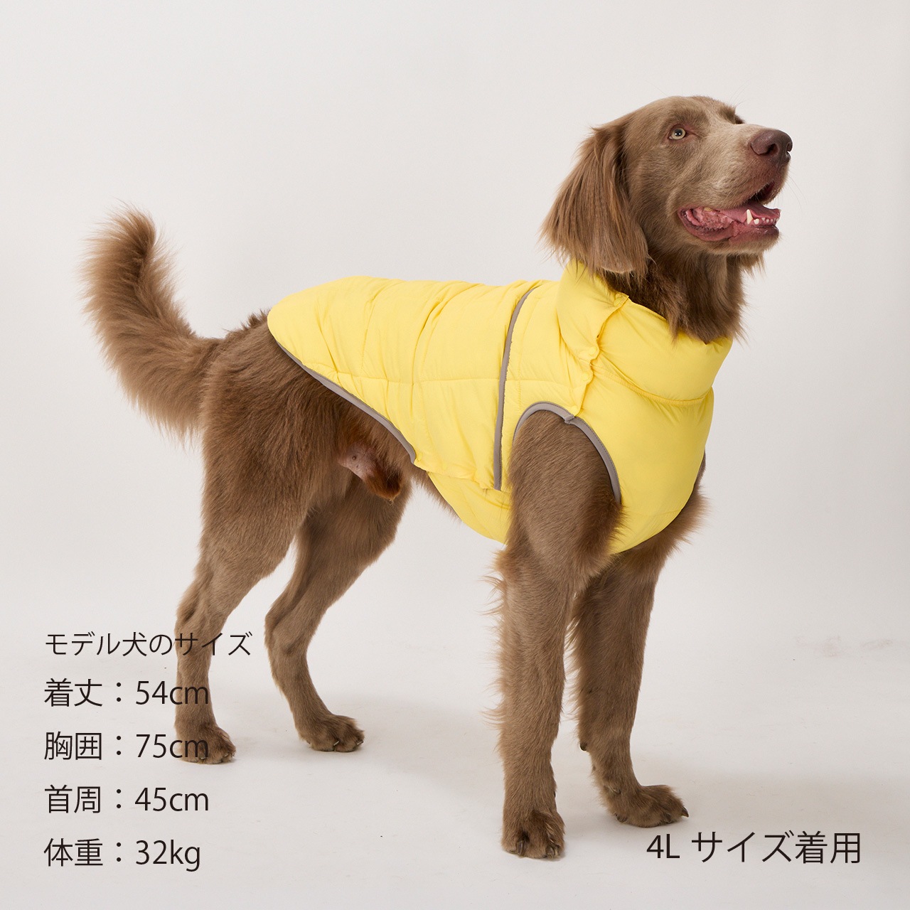 SUPER LIGHT PUFF VEST