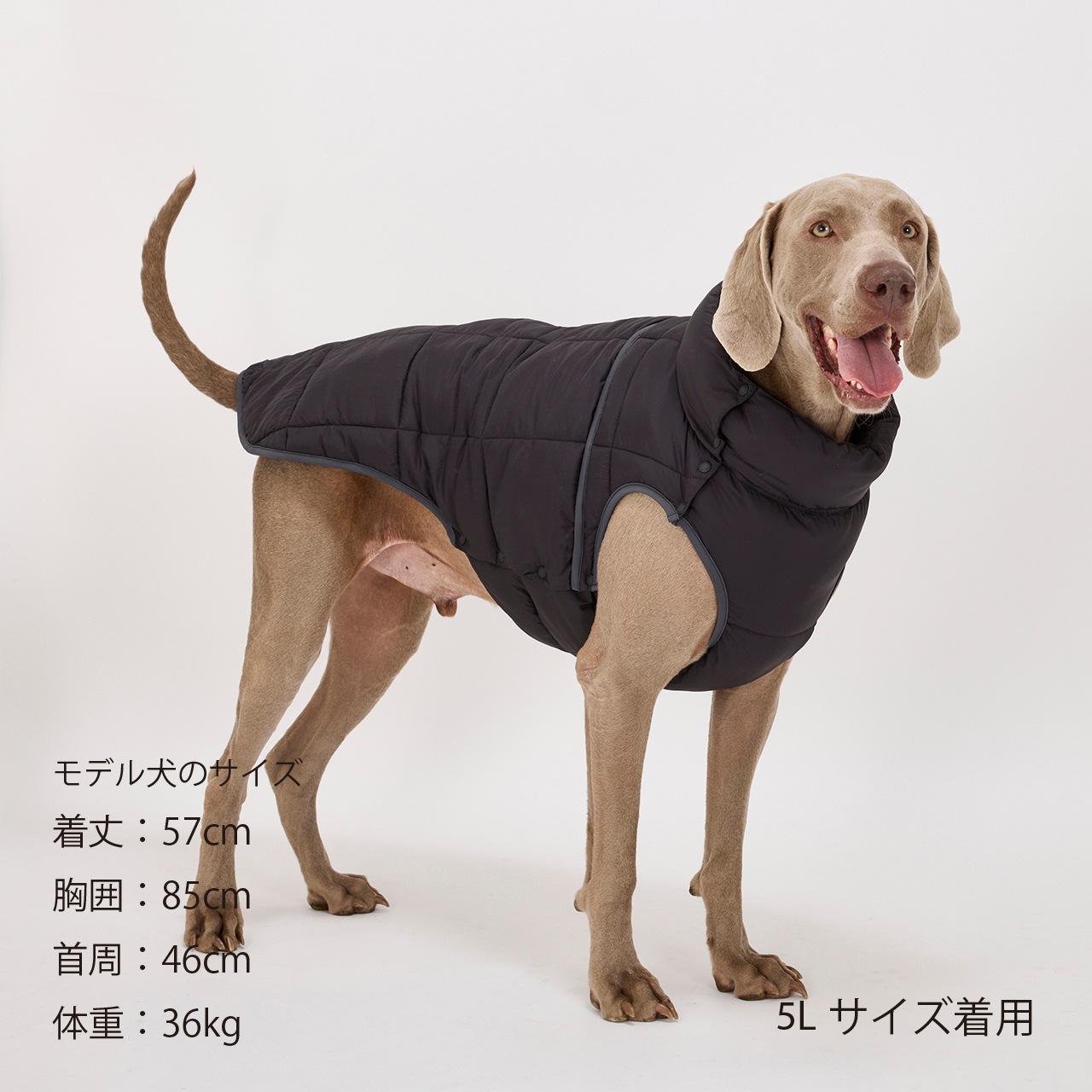 SUPER LIGHT PUFF VEST