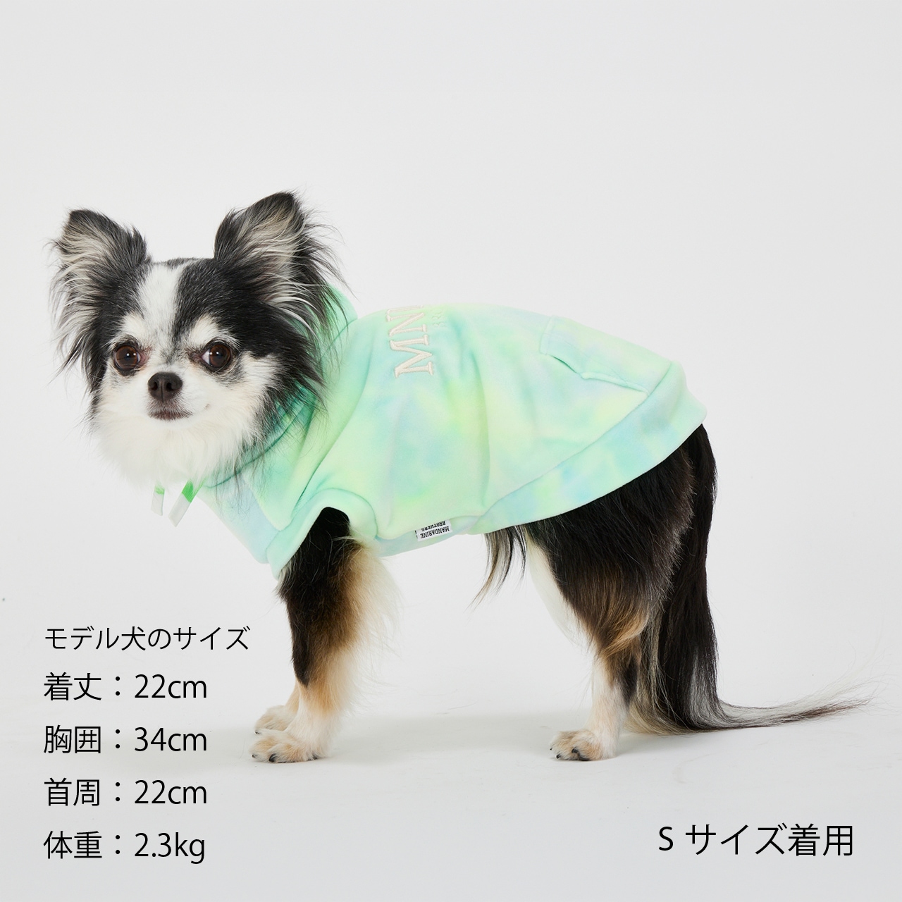 TIE-DYE HOODIE