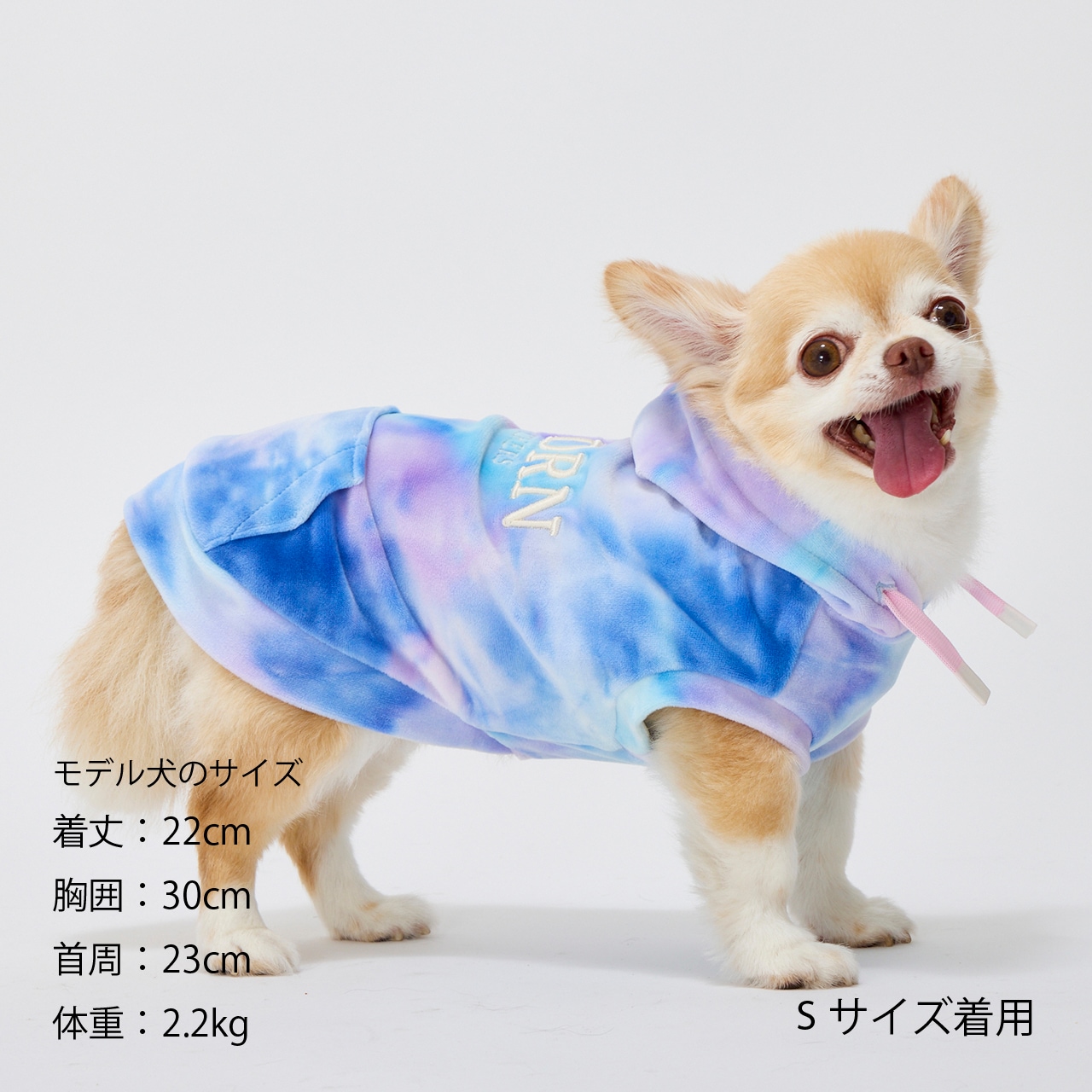 TIE-DYE HOODIE | CATEGORY | 犬服 MANDARINE BROTHERS マンダリン