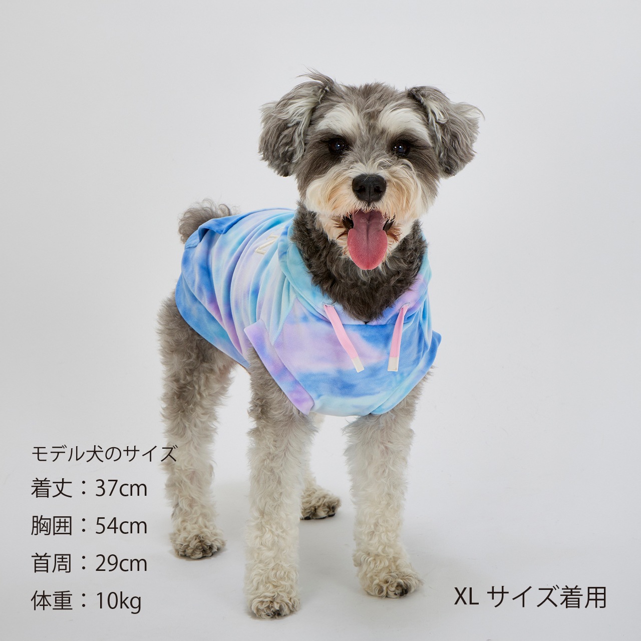 TIE-DYE HOODIE