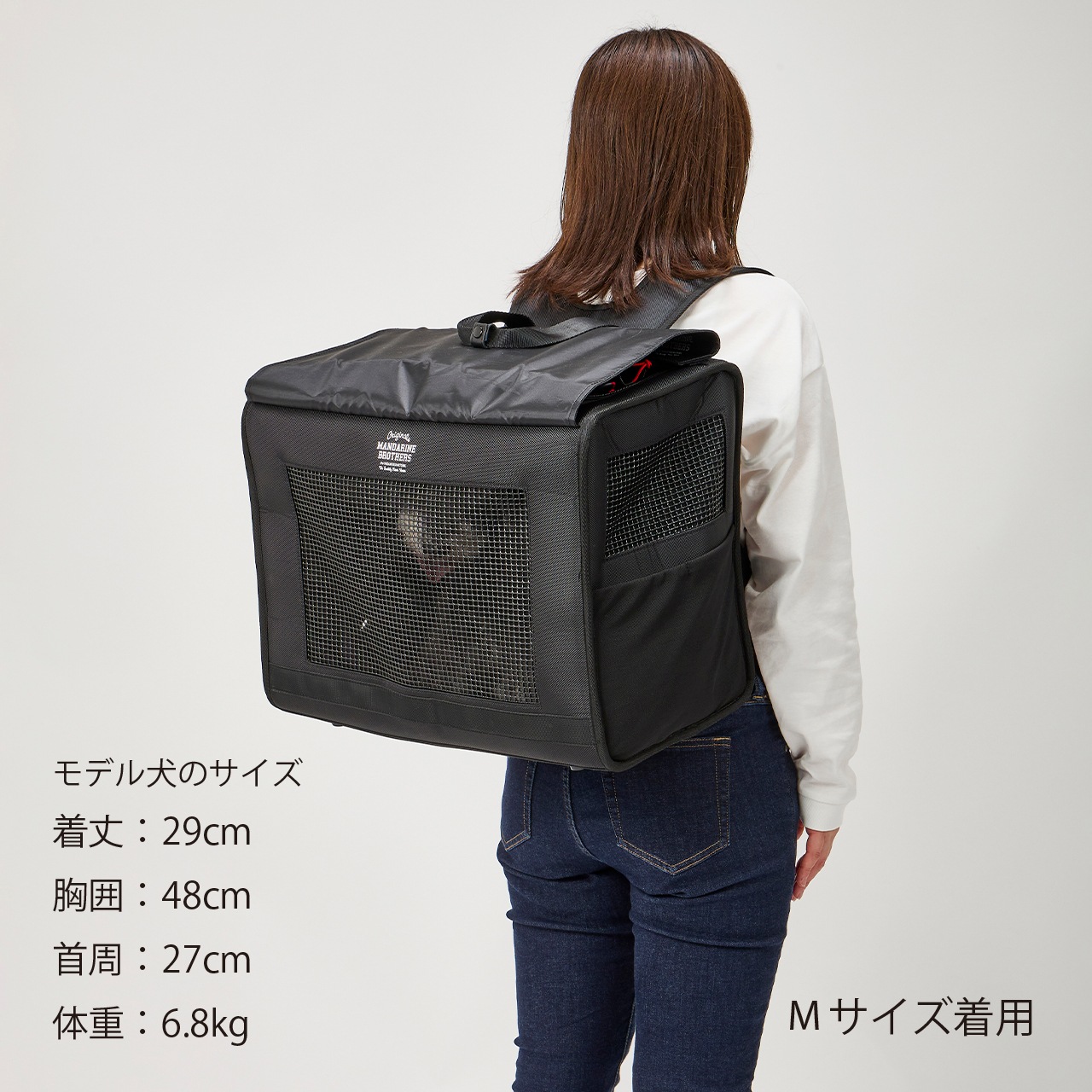【Renewal】BRIXTON CARRY BACKPACK －WIDE－