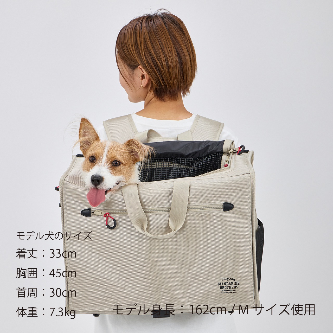 【Renewal】BRIXTON CARRY BACKPACK －WIDE－