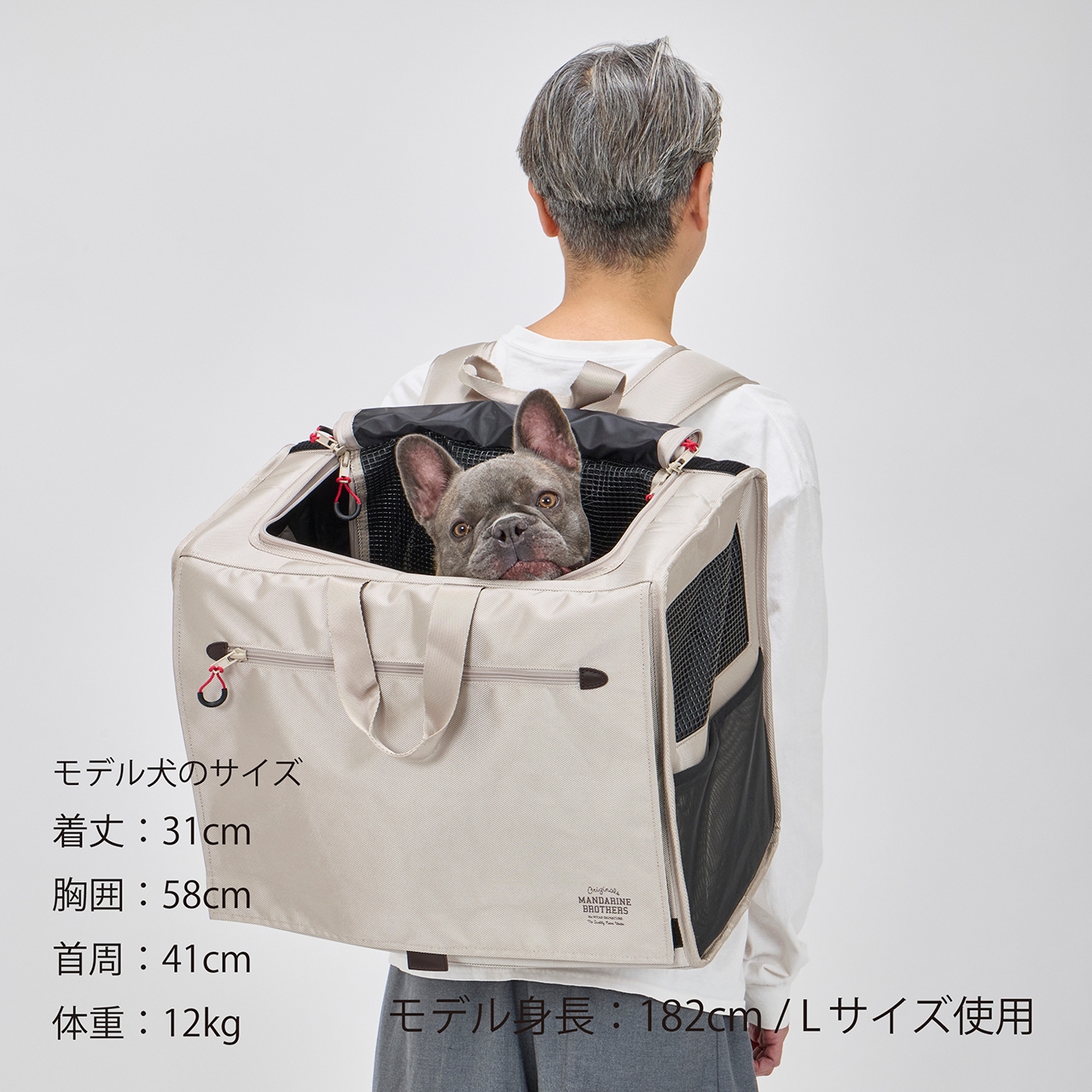 【Renewal】BRIXTON CARRY BACKPACK －WIDE－