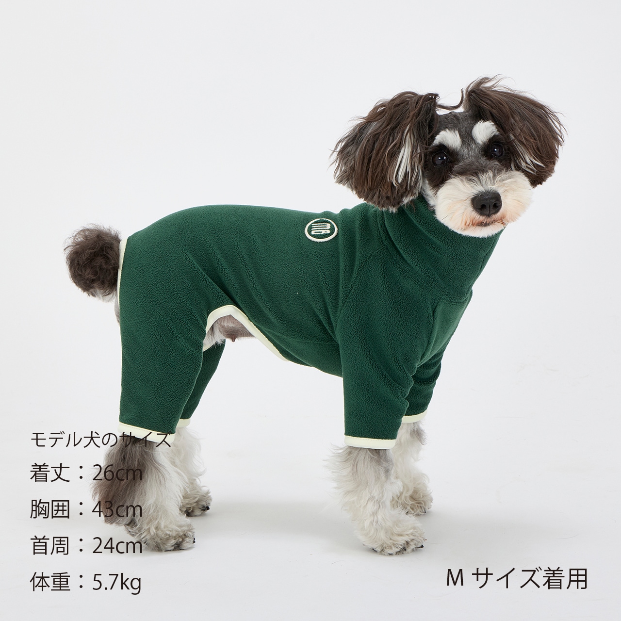 MINI LOGO BOA SUIT | CATEGORY | 犬服 MANDARINE BROTHERS マンダリン