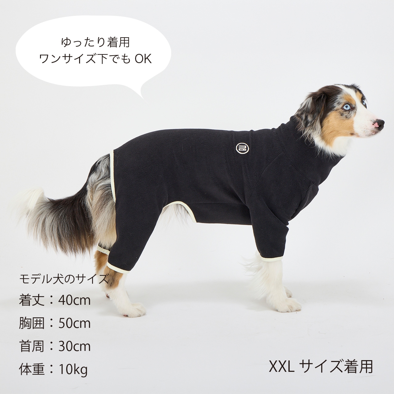 MINI LOGO BOA SUIT | CATEGORY | 犬服 MANDARINE BROTHERS マンダリン